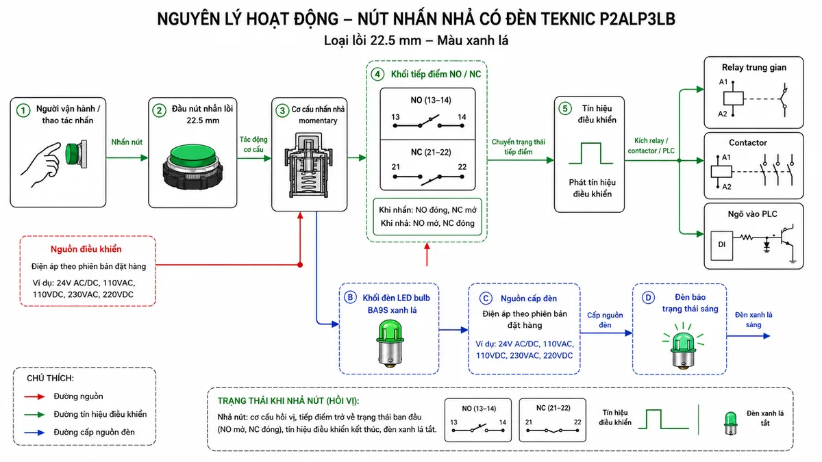 Sơ đồ nguyên lý hoạt động của Nút Nhấn Nhả Có Đèn - Loại Lồi Teknic P2ALP3LB màu xanh lá; thể hiện các khối chức năng gồm đầu nút nhấn lồi 22.5 mm, cơ cấu nhấn nhả momentary, khối tiếp điểm NO/NC, khối đèn LED bulb BA9S xanh lá, nguồn điều khiển, nguồn cấp đèn, khối xử lý/tải như relay trung gian, contactor hoặc PLC; dùng mũi tên mô tả luồng thao tác nhấn nút, chuyển trạng thái tiếp điểm, phát tín hiệu điều khiển và bật đèn báo trạng thái