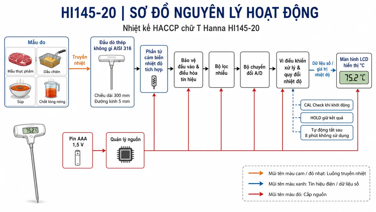 Vẽ sơ đồ nguyên lý hoạt động dạng khối của Nhiệt kế HACCP chữ T Hanna HI145-20, nền trắng, bố cục ngang, phong cách kỹ thuật đo lường và nhãn tiếng Việt; luồng chính bắt đầu từ mẫu thực phẩm, dầu chiên, súp hoặc chất lỏng nóng truyền nhiệt tới đầu dò thép không gỉ AISI 316 dài 300 mm, tiếp đến phần tử cảm biến nhiệt độ tích hợp, khối bảo vệ và điều hòa tín hiệu, bộ lọc nhiễu, bộ chuyển đổi A/D, vi điều khiển xử lý và quy đổi nhiệt độ, cuối cùng tới màn hình LCD hiển thị °C; bổ sung nhánh pin AAA qua khối quản lý nguồn cấp cho các mạch; tại vi điều khiển thể hiện CAL Check khi khởi động, nút HOLD giữ kết quả và bộ đếm tự động tắt sau 8 phút không sử dụng; dùng mũi tên rõ ràng để thể hiện luồng truyền nhiệt, tín hiệu điện và dữ liệu số.