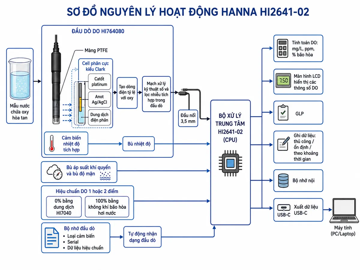Vẽ sơ đồ nguyên lý hoạt động của Hanna HI2641-02 trên nền trắng: mẫu nước chứa oxy hòa tan → oxy khuếch tán qua màng PTFE của đầu dò HI764080 → cell phân cực kiểu Clark gồm catốt platinum, anot Ag/AgCl và dung dịch điện phân → tạo dòng điện tỷ lệ với oxy → mạch xử lý kỹ thuật số và lọc nhiễu tích hợp trong đầu dò → truyền tín hiệu số qua đầu nối 3,5 mm tới bộ xử lý trung tâm HI2641-02. Đồng thời thể hiện cảm biến nhiệt độ tích hợp trong HI764080 → khối bù nhiệt độ; khối bù áp suất khí quyển và bù độ mặn → CPU → tính toán DO theo mg/L, ppm và % bão hòa → màn hình LCD. Thể hiện khối hiệu chuẩn DO một hoặc hai điểm gồm 0% bằng dung dịch HI7040 và 100% bằng không khí bão hòa hơi nước → CPU; khối bộ nhớ đầu dò lưu loại cảm biến, serial và dữ liệu hiệu chuẩn → tự động nhận dạng đầu dò; từ CPU chia sang GLP, ghi dữ liệu thủ công/ổn định/theo khoảng thời gian, bộ nhớ nội và xuất dữ liệu qua USB-C tới máy tính.