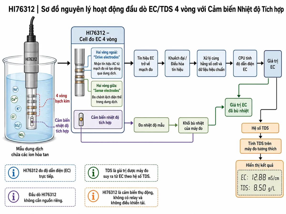 Sơ đồ nguyên lý hoạt động dạng block diagram kỹ thuật của Hanna HI76312 trên nền trắng, bố cục ngang: mẫu dung dịch chứa các ion hòa tan → 4 vòng bạch kim của HI76312; hai vòng ngoài “Drive electrodes” nhận tín hiệu AC từ mạch đo và tạo dòng qua dung dịch → hai vòng giữa “Sense electrodes” đo chênh lệch điện thế → tín hiệu EC trở về mạch đo → khuếch đại/điều hòa tín hiệu → xử lý cùng hằng số cell và dữ liệu hiệu chuẩn → CPU tính độ dẫn điện EC. Tạo nhánh song song từ “Cảm biến nhiệt độ tích hợp” → đo nhiệt độ mẫu → khối bù nhiệt của máy đo → giá trị EC đã bù nhiệt. Từ EC tạo nhánh “Hệ số TDS” → tính TDS trên máy đo tương thích → hiển thị kết quả. Ghi chú rằng HI76312 đo độ dẫn điện trực tiếp, còn TDS là giá trị được máy đo suy ra từ EC; đầu dò không cần nguồn riêng và không điều khiển tải.