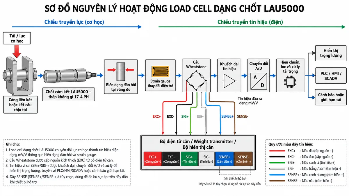 Vẽ sơ đồ nguyên lý hoạt động dạng khối cho Laumas LAU5000 trên nền trắng, bố cục ngang. Bắt đầu từ khối “Tải/lực cơ học” → “Càng liên kết hoặc kết cấu chịu tải” → “Chốt cảm biến LAU5000 – thép không gỉ 17-4 PH” → “Biến dạng đàn hồi tại vùng đo” → “Strain gauge thay đổi điện trở” → “Cầu Wheatstone”. Từ bộ điện tử cân vẽ EXC+/EXC- cấp điện áp kích thích vào cầu Wheatstone và SENSE+/SENSE- hồi tiếp điện áp khi thiết bị hỗ trợ. Từ cầu Wheatstone vẽ SIG+/SIG- mang tín hiệu mV/V → “Khuếch đại tín hiệu” → “Chuyển đổi A/D” → “Hiệu chuẩn, lọc và xử lý tải trọng” → chia các nhánh tới “Hiển thị trọng lượng”, “PLC/HMI/SCADA” và “Cảnh báo hoặc giới hạn tải”. Thể hiện mũi tên rõ chiều truyền lực và chiều truyền tín hiệu.