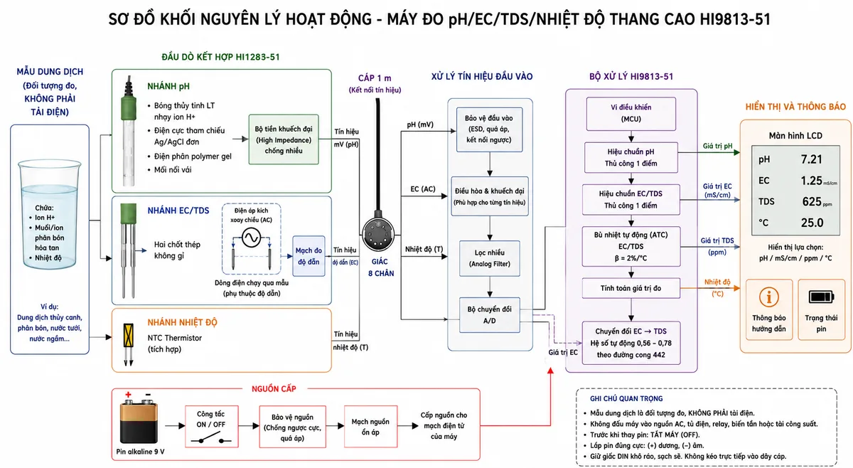 Vẽ sơ đồ khối nguyên lý hoạt động của Hanna HI9813-51 trên nền trắng, bố cục ngang. Luồng bắt đầu từ mẫu dung dịch chứa ion H+, muối hoặc phân bón hòa tan và nhiệt độ. Trong đầu dò HI1285-51 chia thành ba nhánh: nhánh pH gồm bóng thủy tinh LT nhạy ion H+, điện cực tham chiếu Ag/AgCl đơn, điện phân polymer gel, mối nối vải và bộ tiền khuếch đại chống nhiễu; nhánh EC/TDS gồm hai chốt thép không gỉ, điện áp kích xoay chiều, dòng điện chạy qua mẫu và tín hiệu độ dẫn; nhánh nhiệt độ gồm NTC thermistor tích hợp. Các tín hiệu truyền qua cáp 1 m và đầu nối DIN 8 chân đến khối bảo vệ đầu vào, điều hòa và lọc tín hiệu, chuyển đổi A/D rồi vào bộ xử lý HI9813-51. Trong bộ xử lý thể hiện hiệu chuẩn thủ công một điểm pH, hiệu chuẩn một điểm EC/TDS, bù nhiệt tự động β bằng 2%/°C và khối chuyển đổi EC sang TDS với hệ số tự động 0,56–0,78 theo đường cong 442. Đầu ra đến màn hình LCD hiển thị pH, mS/cm, ppm hoặc °C, thông báo hướng dẫn và trạng thái pin.