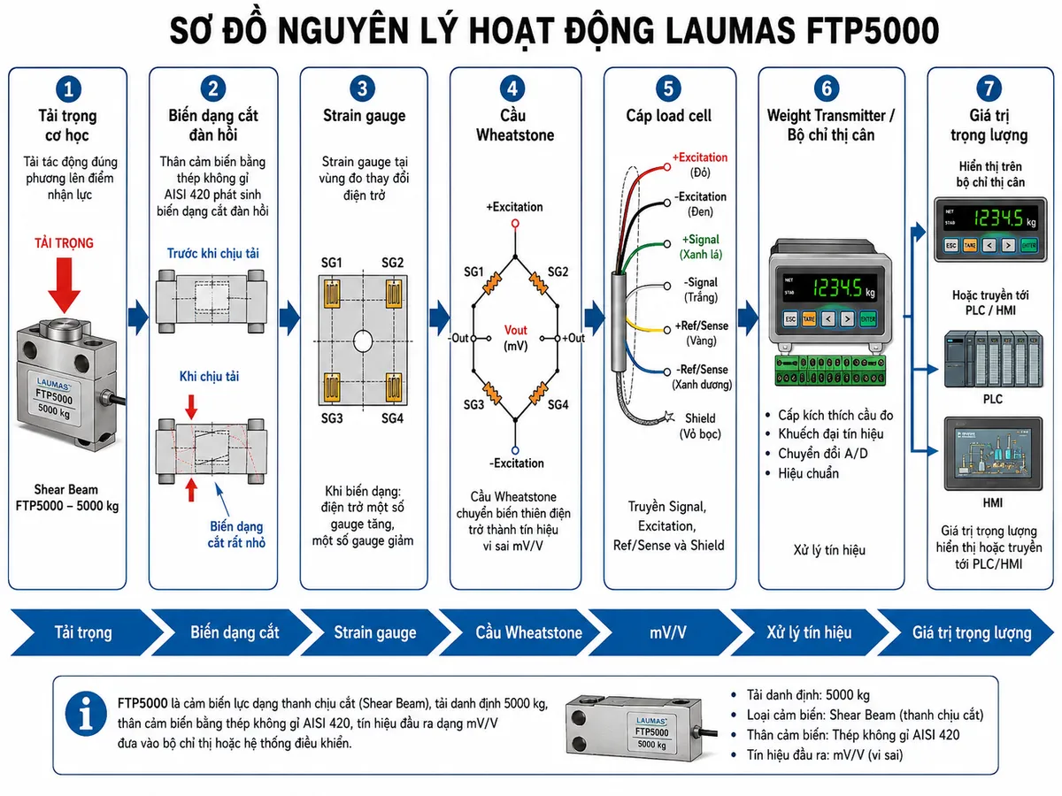 Sơ đồ nguyên lý hoạt động Laumas FTP5000 dạng khối chức năng từ trái sang phải trên nền trắng, phong cách kỹ thuật điện công nghiệp. Thể hiện đầy đủ chuỗi hoạt động: tải trọng cơ học tác động đúng phương lên điểm nhận lực của Shear Beam FTP5000 5000 kg → thân cảm biến bằng thép không gỉ AISI 420 phát sinh biến dạng cắt đàn hồi → strain gauge tại vùng đo thay đổi điện trở → cầu Wheatstone chuyển biến thiên điện trở thành tín hiệu vi sai mV/V → cáp load cell truyền Signal cùng Excitation và Ref/Sense nếu được trang bị → weight transmitter hoặc bộ chỉ thị cân cung cấp kích thích cầu đo, khuếch đại tín hiệu, chuyển đổi A/D và hiệu chuẩn → giá trị trọng lượng được hiển thị hoặc truyền tới PLC/HMI. Dùng các mũi tên lớn, rõ ràng thể hiện luồng Tải trọng → Biến dạng cắt → Strain gauge → Cầu Wheatstone → mV/V → Xử lý tín hiệu → Giá trị trọng lượng.