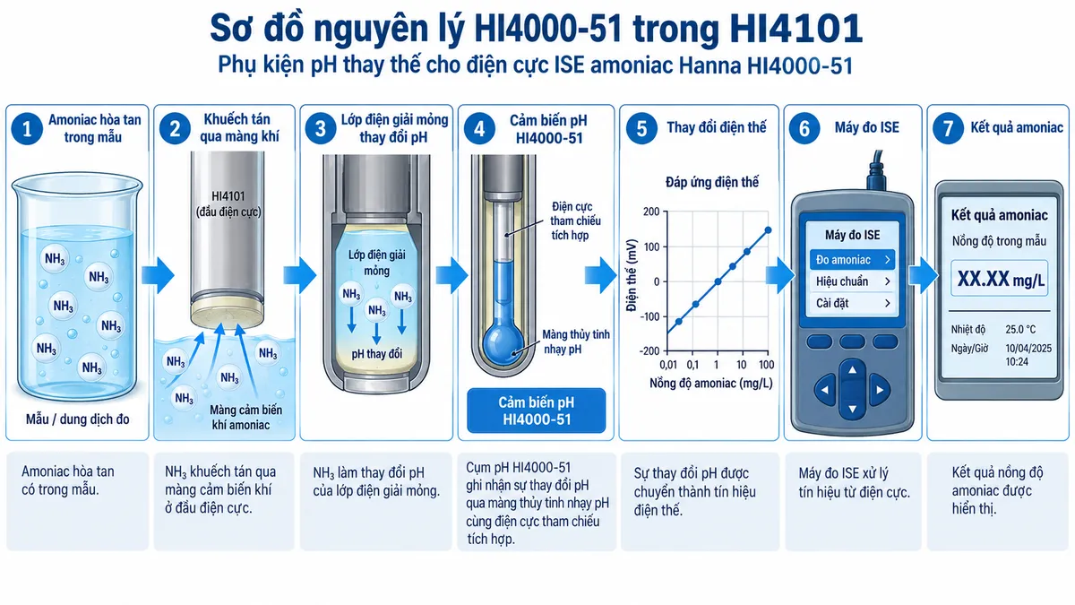 Sơ đồ nguyên lý HI4000-51 trong HI4101: amoniac hòa tan trong mẫu → khuếch tán qua màng khí → lớp điện giải mỏng thay đổi pH → cảm biến pH HI4000-51 → thay đổi điện thế → máy đo ISE → kết quả amoniac
