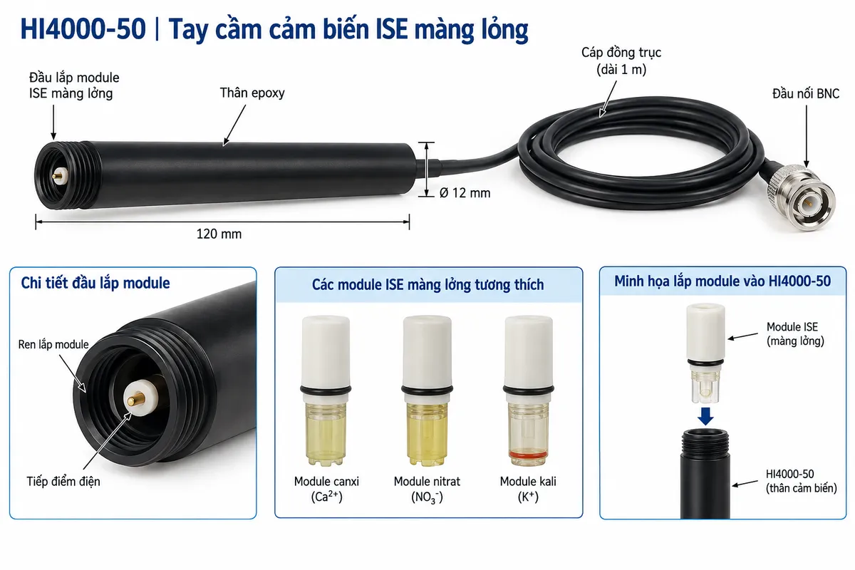 Sơ đồ cấu tạo HI4000-50 gồm thân epoxy, đầu lắp module ISE màng lỏng, cáp đồng trục và đầu nối BNC; minh họa vị trí lắp module canxi, nitrat hoặc kali