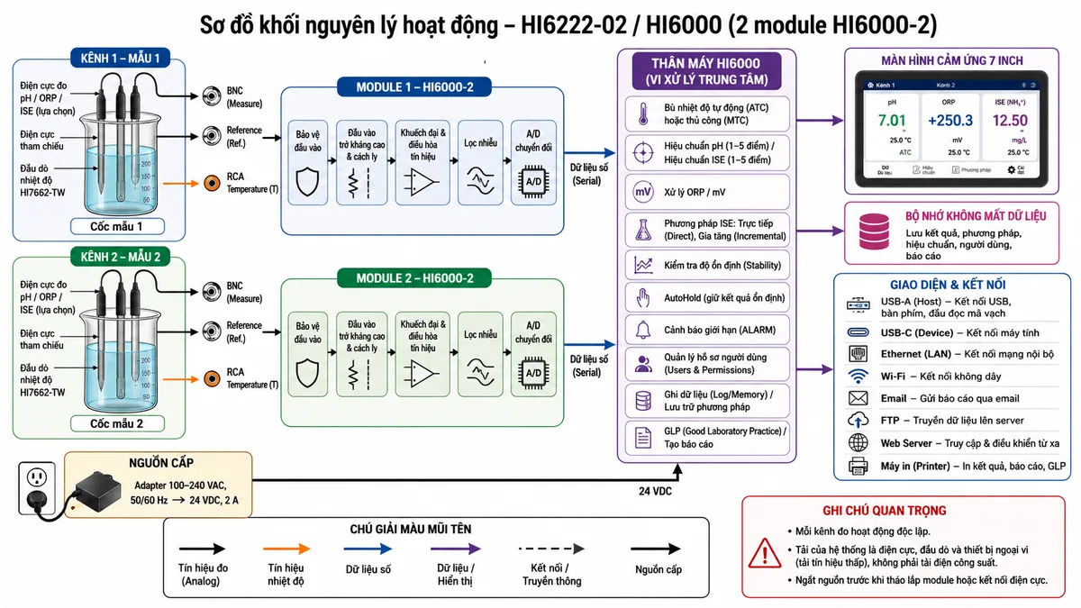 Vẽ sơ đồ khối nguyên lý hoạt động của Hanna HI6222-02 trên nền trắng, bố cục ngang và chia thành hai kênh đo độc lập. Bên trái thể hiện một hoặc hai cốc mẫu; mỗi kênh có lựa chọn điện cực pH, ORP hoặc ISE, điện cực tham chiếu và đầu dò nhiệt độ HI7662-TW. Tín hiệu đi qua cổng BNC, Reference và RCA Temperature vào module HI6000-2 tương ứng. Trong từng module thể hiện lần lượt khối bảo vệ đầu vào, đầu vào trở kháng cao và cách ly điện, khuếch đại và điều hòa tín hiệu, lọc nhiễu, chuyển đổi A/D rồi truyền dữ liệu số tới vi xử lý trung tâm HI6000. Trong vi xử lý thể hiện các khối bù nhiệt độ tự động hoặc thủ công, hiệu chuẩn pH/ISE, xử lý ORP/mV, phương pháp ISE trực tiếp và gia tăng, kiểm tra độ ổn định, AutoHold, cảnh báo giới hạn, quản lý hồ sơ người dùng, ghi dữ liệu, GLP và tạo báo cáo. Luồng đầu ra đi tới màn hình cảm ứng 7 inch, bộ nhớ không mất dữ liệu và các giao diện USB-A, USB-C, Ethernet, Wi-Fi, email, FTP, web server và máy in. Dùng mũi tên rõ ràng cho luồng tín hiệu từ mẫu đến kết quả.