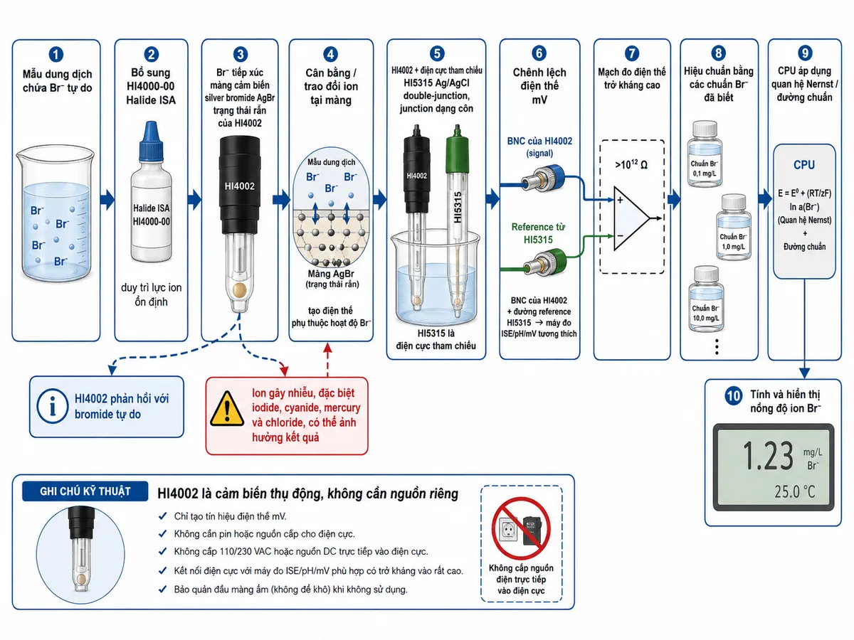 Vẽ sơ đồ nguyên lý hoạt động dạng block diagram kỹ thuật cho Hanna HI4002 trên nền trắng, bố cục ngang: mẫu dung dịch chứa Br⁻ tự do → bổ sung HI4000-00 Halide ISA để duy trì lực ion ổn định → Br⁻ tiếp xúc màng cảm biến silver bromide AgBr trạng thái rắn của HI4002 → cân bằng/trao đổi ion tại màng tạo điện thế phụ thuộc hoạt độ Br⁻ → HI4002 kết hợp điện cực tham chiếu HI5315 Ag/AgCl double-junction với junction dạng côn để hoàn thành tế bào điện hóa → chênh lệch điện thế mV truyền qua BNC của HI4002 và đường reference HI5315 tới máy đo ISE/pH/mV tương thích → mạch đo điện thế trở kháng cao → hiệu chuẩn bằng các chuẩn Br⁻ đã biết → CPU áp dụng quan hệ Nernst/đường chuẩn → tính và hiển thị nồng độ ion Br⁻. Thêm nhánh ghi chú “HI4002 phản hồi với bromide tự do” và nhánh cảnh báo “ion gây nhiễu, đặc biệt iodide, cyanide, mercury và chloride, có thể ảnh hưởng kết quả”. Ghi rõ HI4002 là cảm biến thụ động, không cần nguồn riêng.