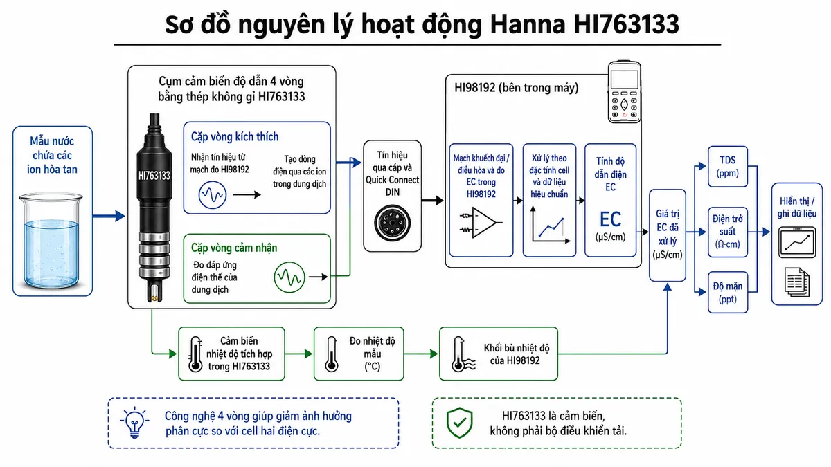 Sơ đồ nguyên lý hoạt động dạng block diagram kỹ thuật của Hanna HI763133 trên nền trắng, bố cục ngang: mẫu nước chứa các ion hòa tan → cụm cảm biến độ dẫn 4 vòng bằng thép không gỉ HI763133; tách thành cặp vòng kích thích nhận tín hiệu từ mạch đo HI98192 → tạo dòng điện qua các ion trong dung dịch, và cặp vòng cảm nhận → đo đáp ứng điện thế của dung dịch → tín hiệu qua cáp và Quick Connect DIN → mạch khuếch đại/điều hòa và đo EC trong HI98192 → xử lý theo đặc tính cell và dữ liệu hiệu chuẩn → tính độ dẫn điện EC. Tạo nhánh song song từ cảm biến nhiệt độ tích hợp trong HI763133 → đo nhiệt độ mẫu → khối bù nhiệt độ của HI98192 → giá trị EC đã xử lý. Từ EC tạo các nhánh trên HI98192 gồm TDS, điện trở suất và độ mặn → hiển thị/ghi dữ liệu. Ghi chú công nghệ 4 vòng giúp giảm ảnh hưởng phân cực so với cell hai điện cực; HI763133 là cảm biến, không phải bộ điều khiển tải.