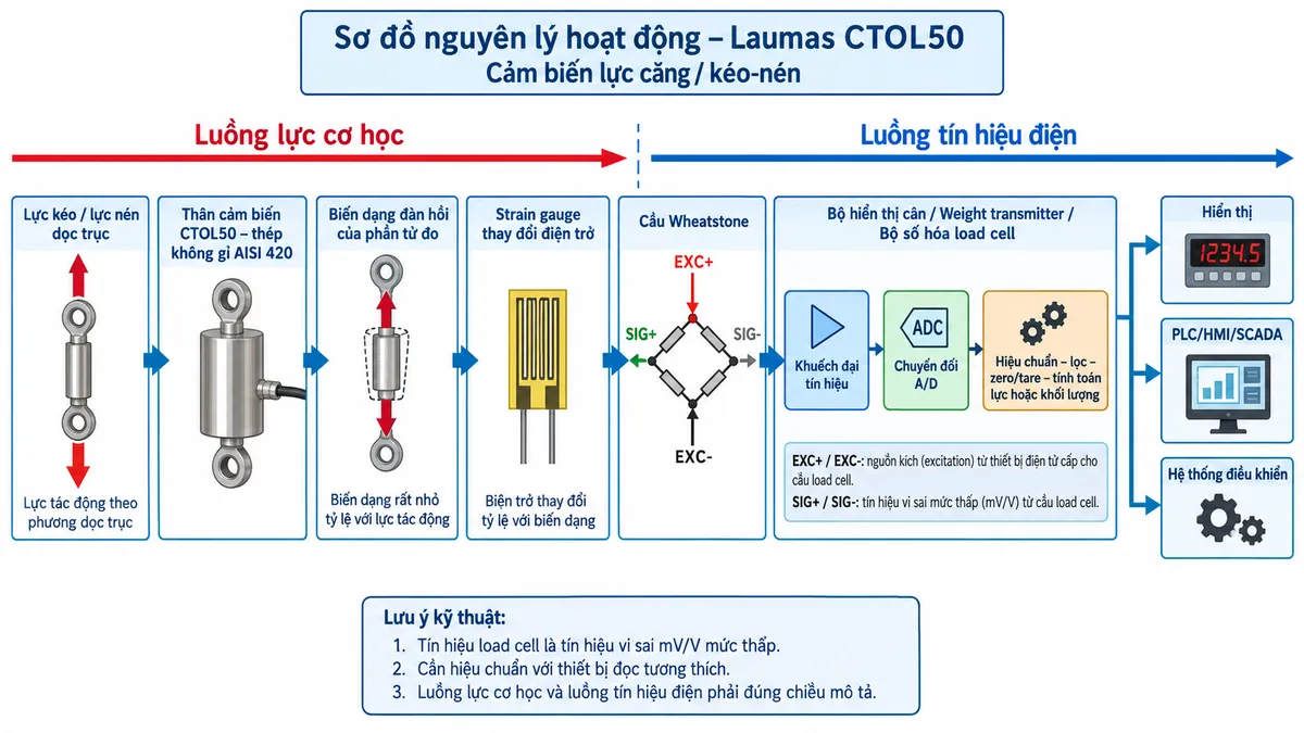 Vẽ sơ đồ nguyên lý hoạt động dạng khối cho Laumas CTOL50 trên nền trắng, bố cục ngang. Bắt đầu từ khối “Lực kéo / lực nén dọc trục” tác động lên “Thân cảm biến CTOL50 – thép không gỉ AISI 420”; tiếp theo là khối “Biến dạng đàn hồi của phần tử đo”; khối “Strain gauge thay đổi điện trở”; khối “Cầu Wheatstone”. Thể hiện EXC+/EXC- từ bộ điện tử cân cấp điện áp kích thích vào cầu Wheatstone và SIG+/SIG- là tín hiệu vi sai mV/V đầu ra tỷ lệ với lực. Tín hiệu tiếp tục tới khối “Khuếch đại tín hiệu”, “Chuyển đổi A/D”, rồi “Hiệu chuẩn – lọc – zero/tare – tính toán lực hoặc khối lượng”. Cuối cùng chia nhánh tới “Hiển thị”, “PLC/HMI/SCADA” hoặc “Hệ thống điều khiển” tùy loại thiết bị đọc. Dùng mũi tên tách biệt rõ luồng lực cơ học và luồng tín hiệu điện.