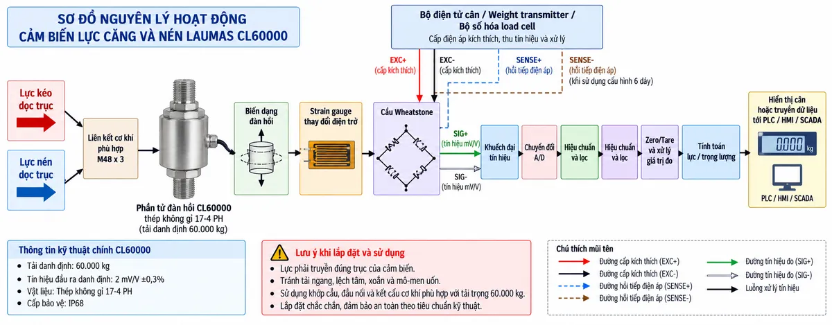 Vẽ sơ đồ nguyên lý hoạt động dạng khối cho Laumas CL60000 trên nền trắng, bố cục ngang. Bắt đầu từ hai nhánh “Lực kéo dọc trục” và “Lực nén dọc trục” hội tụ vào “Liên kết cơ khí phù hợp M48 x 3” → “Phần tử đàn hồi CL60000 bằng thép không gỉ 17-4 PH” → “Biến dạng đàn hồi” → “Strain gauge thay đổi điện trở” → “Cầu Wheatstone”. Phía trên vẽ khối “Bộ điện tử cân / Weight transmitter / Bộ số hóa load cell”; từ khối này EXC+/EXC- cấp điện áp kích thích vào cầu Wheatstone, REF./SENSE+ và REF./SENSE- hồi tiếp điện áp về thiết bị khi sử dụng cấu hình sáu dây. Từ cầu Wheatstone vẽ SIG+/SIG- là tín hiệu vi sai mV/V tới “Khuếch đại tín hiệu” → “Chuyển đổi A/D” → “Hiệu chuẩn và lọc” → “Zero/Tare và xử lý giá trị đo” → “Tính toán lực/trọng lượng” → “Hiển thị cân hoặc truyền dữ liệu tới PLC/HMI/SCADA”. Ghi chú CL60000 có tải danh định 60.000 kg, tín hiệu danh định 2 mV/V và cấp bảo vệ IP68. Dùng mũi tên khác nhau để thể hiện rõ luồng lực cơ học, điện áp kích thích, đường hồi tiếp sense và tín hiệu đo. Ghi chú tải phải tác động đúng trục; tránh lực ngang, lệch tâm, xoắn và mô-men uốn để hạn chế sai số và bảo vệ phần tử đo.