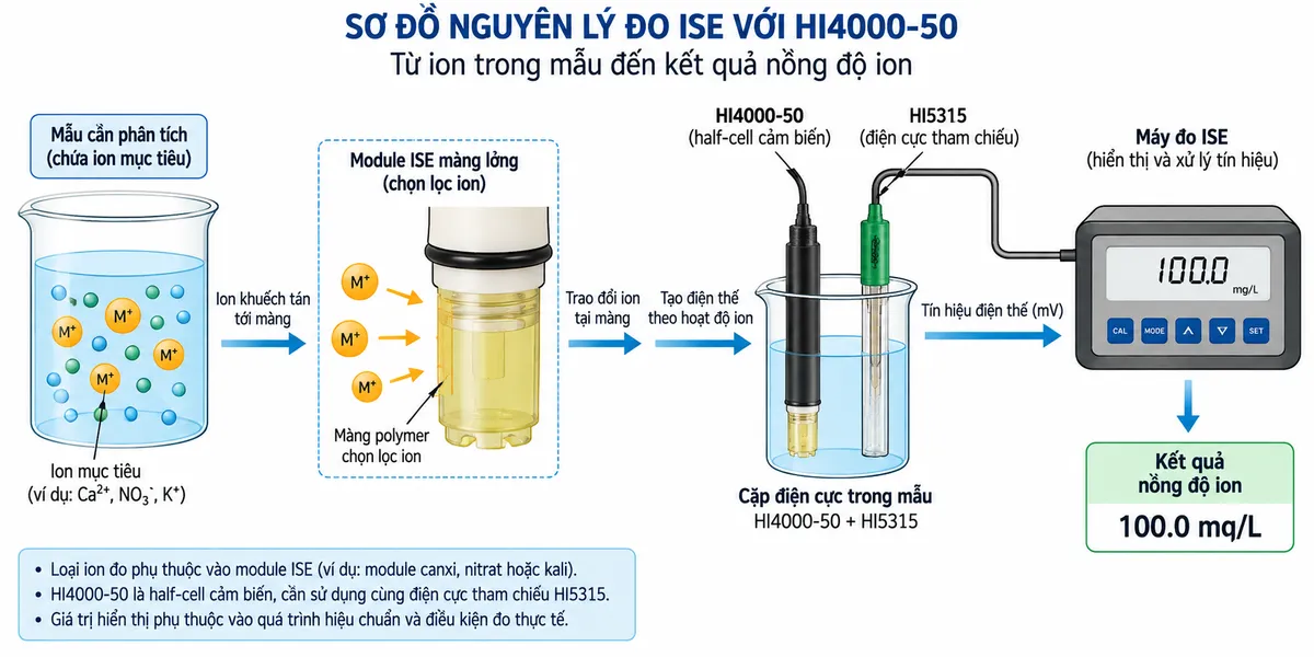 Sơ đồ nguyên lý HI4000-50: ion trong mẫu → module màng polymer chọn lọc ion → trao đổi ion → tạo điện thế → HI4000-50 và điện cực tham chiếu HI5315 → máy đo ISE → kết quả nồng độ ion