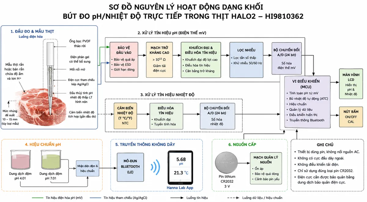 Sơ đồ nguyên lý hoạt động dạng khối của Bút Đo pH/Nhiệt Độ Trực Tiếp Trong Thịt HALO2 có Bluetooth Hanna HI9810362, nền trắng, bố cục ngang, phong cách kỹ thuật đo lường và nhãn tiếng Việt. Luồng chính bắt đầu từ mẫu thịt rắn hoặc bán rắn chứa độ ẩm và ion H+ đi tới đầu thủy tinh pH nhiệt độ thấp LT hình nón; tín hiệu được so sánh với hệ tham chiếu kép Ag/AgCl qua mối nối mở, điện phân cầu nối dạng gel có thể bổ sung và ống bọc PVDF tháo rời. Điện thế mV tiếp tục qua bảo vệ đầu vào, mạch trở kháng cao, khuếch đại và điều hòa tín hiệu, lọc nhiễu, bộ chuyển đổi A/D, vi điều khiển rồi tới màn hình LCD hiển thị pH. Vẽ nhánh từ cảm biến nhiệt độ tích hợp qua điều hòa tín hiệu và A/D tới vi điều khiển để bù nhiệt độ tự động; bổ sung nhánh hiệu chuẩn từ dung dịch đệm pH 4.01 và pH 7.01, nhánh Bluetooth truyền dữ liệu tới Hanna Lab App và nhánh pin CR2032 qua mạch quản lý nguồn.