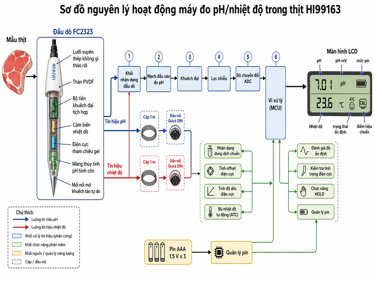 Vẽ sơ đồ nguyên lý hoạt động dạng khối của máy đo pH/nhiệt độ trong thịt Hanna HI99163 trên nền trắng, bố cục ngang và nhãn tiếng Việt. Luồng đo bắt đầu từ mẫu thịt; đầu dò FC2323 gồm lưỡi xuyên thép không gỉ tháo rời, màng thủy tinh pH hình côn, điện cực tham chiếu gel với mối nối mở khuếch tán tự do, cảm biến nhiệt độ, thân PVDF và bộ tiền khuếch đại tích hợp. Tín hiệu pH và nhiệt độ truyền qua cáp và đầu nối Quick DIN vào khối nhận dạng đầu dò, mạch đầu vào đo pH, khuếch đại và lọc nhiễu, sau đó tới bộ chuyển đổi ADC. Tiếp theo là vi xử lý với các khối nhận dạng dung dịch chuẩn, tính offset và độ dốc điện cực, bù nhiệt độ tự động, đánh giá độ ổn định, kiểm tra tình trạng điện cực, chức năng HOLD và quản lý pin. Đầu ra là màn hình LCD hai dòng hiển thị pH, pH-mV, nhiệt độ, mức pin, trạng thái ổn định và điểm hiệu chuẩn. Dùng mũi tên thể hiện rõ luồng tín hiệu từ mẫu đến kết quả.