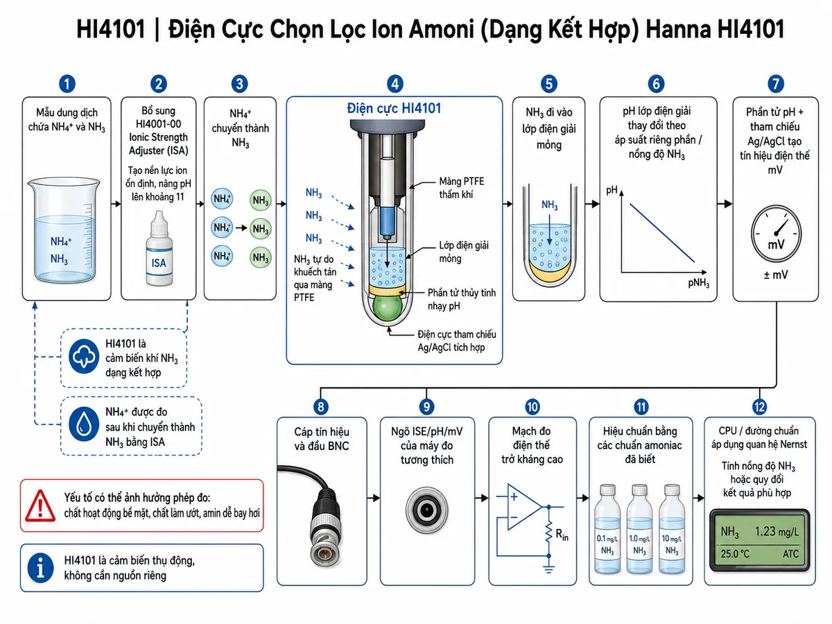 Vẽ sơ đồ nguyên lý hoạt động dạng block diagram kỹ thuật của Hanna HI4101 trên nền trắng, bố cục ngang: mẫu dung dịch chứa NH4+ và NH3 → bổ sung HI4001-00 Ionic Strength Adjuster để tạo nền lực ion ổn định và nâng pH lên khoảng 11 → NH4+ chuyển thành NH3 → NH3 tự do khuếch tán qua màng PTFE thấm khí của HI4101 → NH3 đi vào lớp điện giải mỏng trên bề mặt phần tử thủy tinh nhạy pH → pH lớp điện giải thay đổi theo áp suất riêng phần/nồng độ NH3 → phần tử pH kết hợp với tham chiếu Ag/AgCl tích hợp tạo điện thế mV → cáp và đầu BNC → ngõ ISE/pH/mV của máy đo tương thích → mạch đo điện thế trở kháng cao → hiệu chuẩn bằng các chuẩn amoniac đã biết → CPU/đường chuẩn áp dụng quan hệ Nernst để tính nồng độ NH3 hoặc quy đổi kết quả phù hợp. Thêm ghi chú: HI4101 là cảm biến khí NH3 dạng kết hợp; NH4+ được đo sau khi chuyển thành NH3 bằng ISA; chất hoạt động bề mặt, chất làm ướt và amin dễ bay hơi có thể ảnh hưởng phép đo; HI4101 là cảm biến thụ động, không cần nguồn riêng.