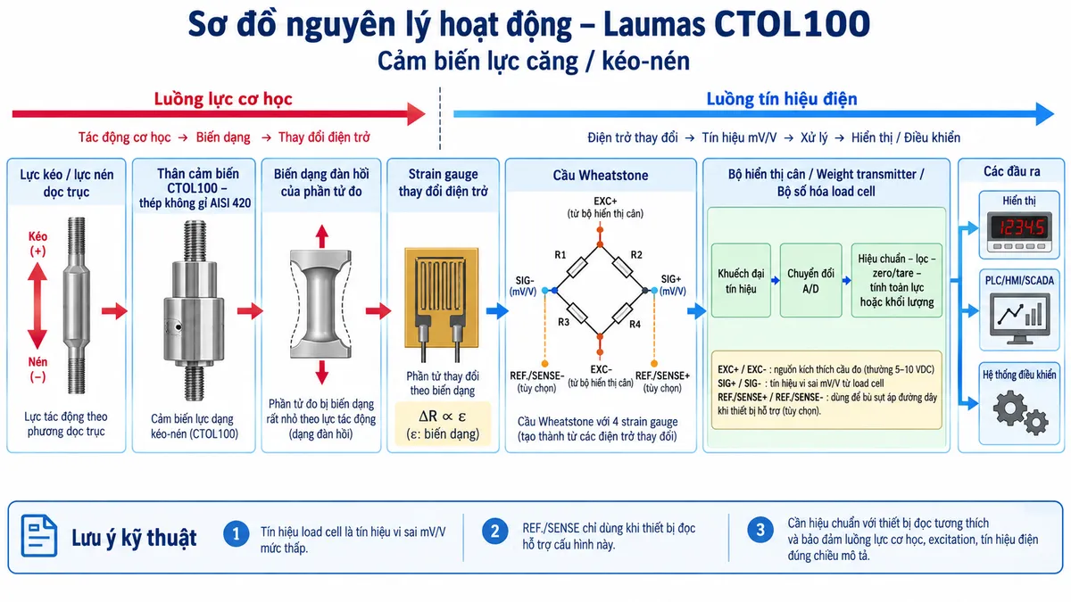 Vẽ sơ đồ nguyên lý hoạt động dạng khối cho Laumas CTOL100 trên nền trắng, bố cục ngang. Bắt đầu từ khối “Lực kéo / lực nén dọc trục” tác động lên “Thân cảm biến CTOL100 – thép không gỉ AISI 420”; tiếp theo là “Biến dạng đàn hồi của phần tử đo”; “Strain gauge thay đổi điện trở”; “Cầu Wheatstone”. Thể hiện EXC+/EXC- từ bộ điện tử cân cấp điện áp kích thích vào cầu Wheatstone và SIG+/SIG- là tín hiệu vi sai mV/V đầu ra tỷ lệ với lực; thể hiện REF./SENSE là đường hồi tiếp bù sụt áp khi cấu hình hỗ trợ. Tín hiệu tiếp tục qua các khối “Khuếch đại tín hiệu”, “Chuyển đổi A/D”, “Hiệu chuẩn – lọc – zero/tare – tính toán lực hoặc khối lượng”. Cuối cùng chia nhánh tới “Hiển thị”, “PLC/HMI/SCADA” và “Hệ thống điều khiển”. Dùng mũi tên và màu sắc tách biệt rõ luồng lực cơ học, nguồn excitation và luồng tín hiệu điện.