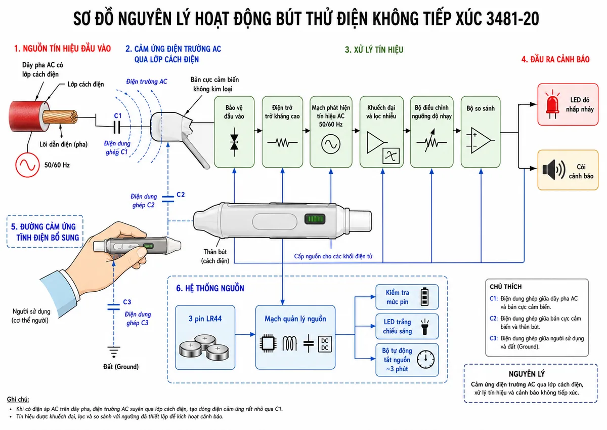 Vẽ sơ đồ nguyên lý hoạt động dạng khối của Bút thử điện không tiếp xúc HIOKI 3481-20, nền trắng, bố cục ngang, nhãn tiếng Việt, phong cách kỹ thuật điện công nghiệp. Luồng tín hiệu bắt đầu từ dây pha AC có lớp cách điện, tạo điện trường và điện dung ghép C1 tới bản cực cảm biến không kim loại; tiếp theo là khối bảo vệ đầu vào, điện trở trở kháng cao, mạch phát hiện tín hiệu AC 50/60 Hz, khuếch đại và lọc nhiễu, bộ điều chỉnh ngưỡng độ nhạy, bộ so sánh và mạch điều khiển. Từ mạch điều khiển phân nhánh tới LED đỏ nhấp nháy và còi cảnh báo. Vẽ điện dung ghép C2 giữa điện cực và thân bút, điện dung C3 giữa người sử dụng và đất để minh họa đường cảm ứng tĩnh điện. Bổ sung nhánh nguồn gồm 3 pin LR44, kiểm tra mức pin, LED trắng chiếu sáng và bộ tự động tắt nguồn khoảng 3 phút.