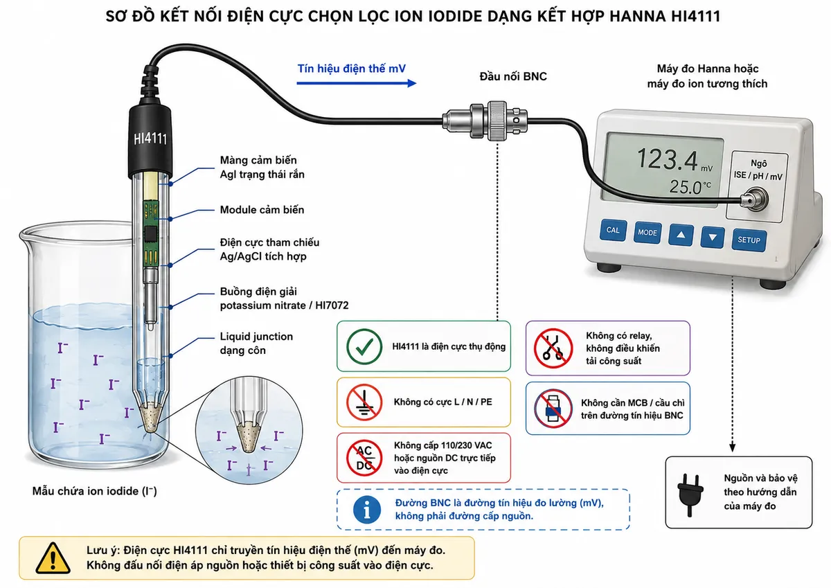 Vẽ sơ đồ đấu dây/kết nối kỹ thuật của điện cực chọn lọc ion iodide dạng kết hợp Hanna HI4111 trên nền trắng, bố cục ngang. Bên trái là cốc mẫu chứa ion I⁻ với đầu điện cực HI4111 nhúng trong dung dịch; bên trong điện cực thể hiện màng cảm biến silver iodide AgI trạng thái rắn, module cảm biến, điện cực tham chiếu Ag/AgCl tích hợp, buồng điện giải potassium nitrate/HI7072 và liquid junction dạng côn. Từ HI4111 đi ra đường tín hiệu điện thế mV qua đầu nối BNC tới ngõ ISE/pH/mV của máy đo Hanna hoặc máy đo ion tương thích. Ghi rõ HI4111 là điện cực thụ động, không có cực L/N/PE, không cấp 110/230 VAC hoặc nguồn DC trực tiếp vào điện cực, không có relay và không điều khiển tải công suất; không cần MCB/cầu chì trên đường tín hiệu BNC. Nếu minh họa nguồn cho máy đo, đặt thành khối riêng “Nguồn và bảo vệ theo hướng dẫn của máy đo”, tuyệt đối không nối nguồn này trực tiếp vào HI4111.