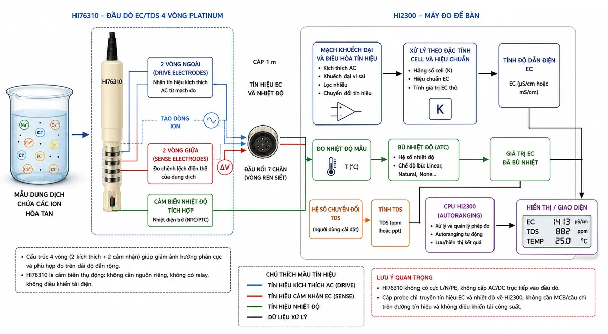 Sơ đồ nguyên lý hoạt động dạng block diagram kỹ thuật của Hanna HI76310 trên nền trắng, bố cục ngang: mẫu dung dịch chứa các ion hòa tan → cụm cảm biến EC 4 vòng platinum HI76310; tách thành hai vòng ngoài “Drive electrodes” nhận tín hiệu kích thích AC từ mạch đo HI2300 → tạo dòng điện ion trong dung dịch, và hai vòng giữa “Sense electrodes” → đo chênh lệch điện thế → tín hiệu EC qua cáp và đầu nối 7 chân → mạch khuếch đại/điều hòa và đo của HI2300 → xử lý theo hằng số cell và dữ liệu hiệu chuẩn → tính độ dẫn EC. Tạo nhánh song song từ cảm biến nhiệt độ tích hợp trong HI76310 → đo nhiệt độ mẫu → khối bù nhiệt độ của HI2300 → giá trị EC đã xử lý. Từ EC tạo nhánh “hệ số chuyển đổi TDS” → tính TDS; cuối cùng → CPU HI2300 → autoranging → hiển thị EC/TDS và nhiệt độ. Ghi chú cấu trúc 4 vòng giúp giảm ảnh hưởng phân cực; HI76310 không cần nguồn riêng và không điều khiển tải điện.