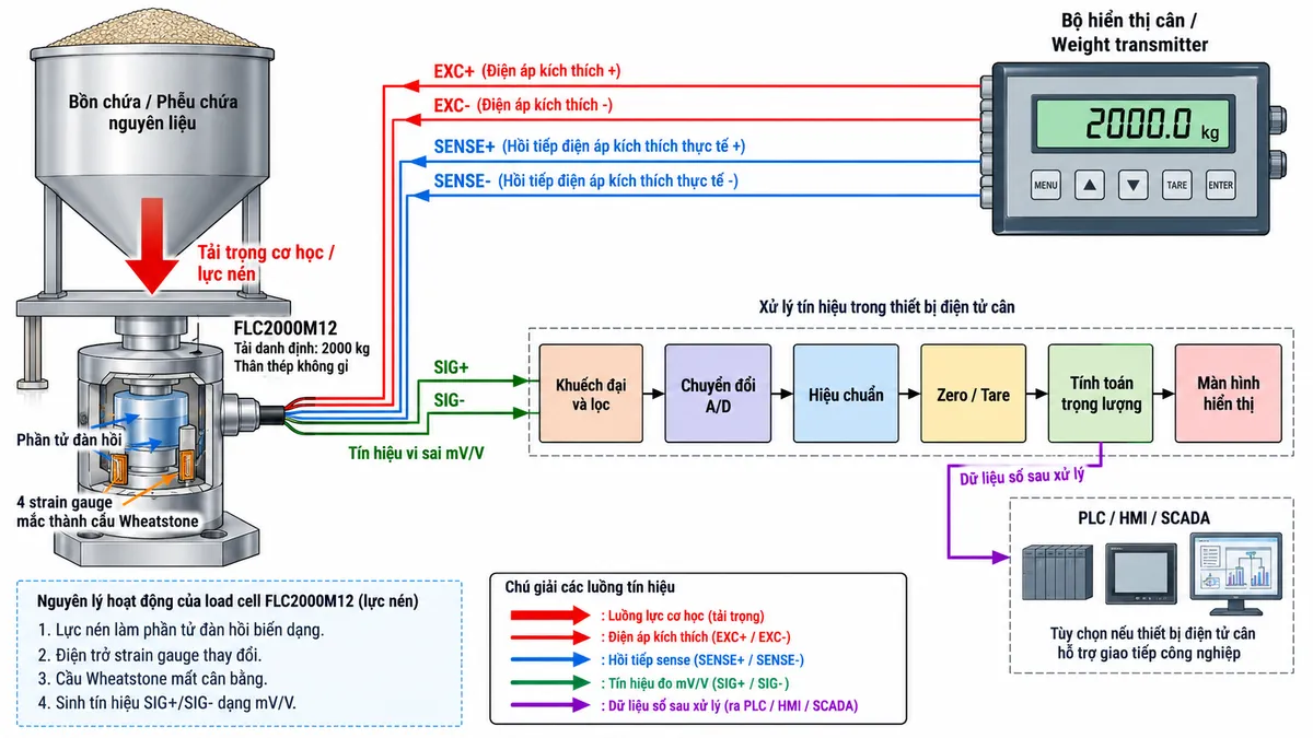 Vẽ sơ đồ nguyên lý hoạt động dạng khối cho cảm biến lực nén Laumas FLC2000M12 trên nền trắng, bố cục ngang. Bắt đầu từ bồn hoặc phễu tạo tải trọng cơ học truyền xuống chân đỡ và tác động lực nén lên FLC2000M12. Bên trong load cell thể hiện phần tử đàn hồi bằng thép không gỉ và bốn strain gauge mắc thành cầu Wheatstone. Từ bộ hiển thị cân hoặc weight transmitter vẽ EXC+/EXC- cấp điện áp kích thích vào cầu đo và SENSE+/SENSE- hồi tiếp điện áp kích thích thực tế về thiết bị đọc. Khi tải thay đổi, phần tử đàn hồi biến dạng làm điện trở strain gauge thay đổi và sinh tín hiệu vi sai SIG+/SIG- dạng mV/V. Tín hiệu tiếp tục qua các khối khuếch đại và lọc, chuyển đổi A/D, hiệu chuẩn, Zero/Tare, tính toán trọng lượng rồi tới màn hình hiển thị. Nếu bộ điện tử cân hỗ trợ giao tiếp công nghiệp, thêm nhánh dữ liệu số sau xử lý tới PLC/HMI/SCADA. Dùng mũi tên và chú thích tiếng Việt để phân biệt luồng lực cơ học, điện áp kích thích, hồi tiếp sense, tín hiệu đo mV/V và dữ liệu số sau xử lý.