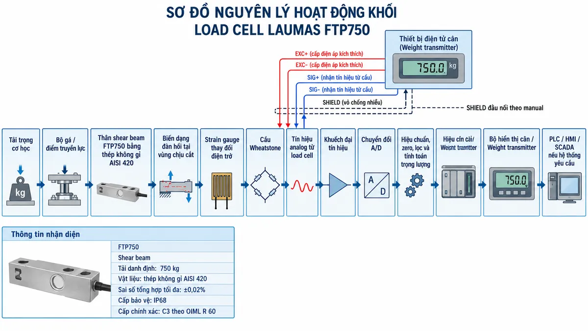 Vẽ sơ đồ nguyên lý hoạt động dạng khối cho Laumas FTP750 trên nền trắng, bố cục ngang. Luồng chính gồm: Tải trọng cơ học → Bộ gá / điểm truyền lực → Thân shear beam FTP750 bằng thép không gỉ AISI 420 → Biến dạng đàn hồi tại vùng chịu cắt → Strain gauge thay đổi điện trở → Cầu Wheatstone → Tín hiệu analog từ load cell → Khuếch đại tín hiệu → Chuyển đổi A/D → Hiệu chuẩn, zero, lọc và tính toán trọng lượng → Bộ hiển thị cân / Weight transmitter → PLC / HMI / SCADA nếu hệ thống yêu cầu. Vẽ nhánh từ thiết bị điện tử cân cấp EXC+/EXC- tới cầu Wheatstone và nhận SIG+/SIG- trở về; thể hiện SHIELD đi theo cáp tín hiệu với ghi chú đấu nối theo manual. Bổ sung khối thông tin nhận diện gồm FTP750, shear beam, tải danh định 750 kg, thép không gỉ AISI 420, sai số tổng hợp tối đa ±0,02%, cấp bảo vệ IP68 và cấp chính xác C3 theo OIML R 60.