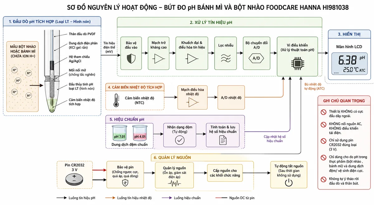 Sơ đồ nguyên lý hoạt động dạng khối của Bút Đo pH Bánh Mì Và Bột Nhào Foodcare Hanna HI981038, nền trắng, bố cục ngang, phong cách kỹ thuật đo lường và nhãn tiếng Việt; luồng chính bắt đầu từ mẫu bột nhào hoặc bánh mì chứa ion H+, đi tới đầu thủy tinh pH loại LT hình nón và hệ tham chiếu Ag/AgCl qua mối nối mở với lớp điện phân gel rắn, thân đầu dò PVDF; tín hiệu điện thế mV đi qua bảo vệ đầu vào, mạch trở kháng cao, khuếch đại và điều hòa tín hiệu, lọc nhiễu, bộ chuyển đổi A/D, vi điều khiển rồi tới màn hình LCD hiển thị pH; vẽ nhánh từ cảm biến nhiệt độ tích hợp qua mạch điều hòa và A/D tới vi điều khiển để bù nhiệt độ tự động; bổ sung nhánh hiệu chuẩn từ dung dịch đệm pH 7.01 và pH 4.01 tới khối nhận dạng đệm và lưu hệ số hiệu chuẩn; nhánh nguồn gồm pin CR2032, bảo vệ pin, quản lý nguồn và tự động tắt