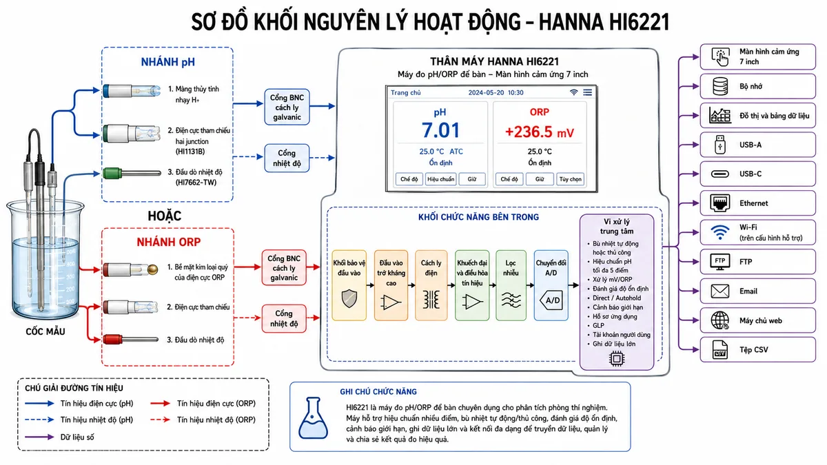 Vẽ sơ đồ khối nguyên lý hoạt động của máy đo pH/ORP Hanna HI6221 trên nền trắng, bố cục ngang. Bên trái là cốc mẫu với hai nhánh lựa chọn: nhánh pH gồm màng thủy tinh nhạy H+, điện cực tham chiếu hai junction của HI1131B và đầu dò nhiệt độ HI7662-TW; nhánh ORP gồm bề mặt kim loại quý của điện cực ORP, điện cực tham chiếu và đầu dò nhiệt độ. Tín hiệu điện cực đi qua cổng BNC cách ly galvanic, tín hiệu nhiệt độ đi qua cổng nhiệt độ. Bên trong máy thể hiện lần lượt khối bảo vệ đầu vào, đầu vào trở kháng cao, cách ly điện, khuếch đại và điều hòa tín hiệu, lọc nhiễu, chuyển đổi A/D và vi xử lý. Trong vi xử lý thể hiện bù nhiệt tự động hoặc thủ công, hiệu chuẩn pH tối đa 5 điểm, xử lý mV/ORP, đánh giá độ ổn định, Direct/Autohold, cảnh báo giới hạn, hồ sơ ứng dụng, GLP, tài khoản người dùng và ghi dữ liệu lớn. Từ vi xử lý chia đầu ra tới màn hình cảm ứng 7 inch, bộ nhớ, đồ thị và bảng dữ liệu, USB-A, USB-C, Ethernet, Wi-Fi trên cấu hình hỗ trợ, FTP, email, máy chủ web và tệp CSV.