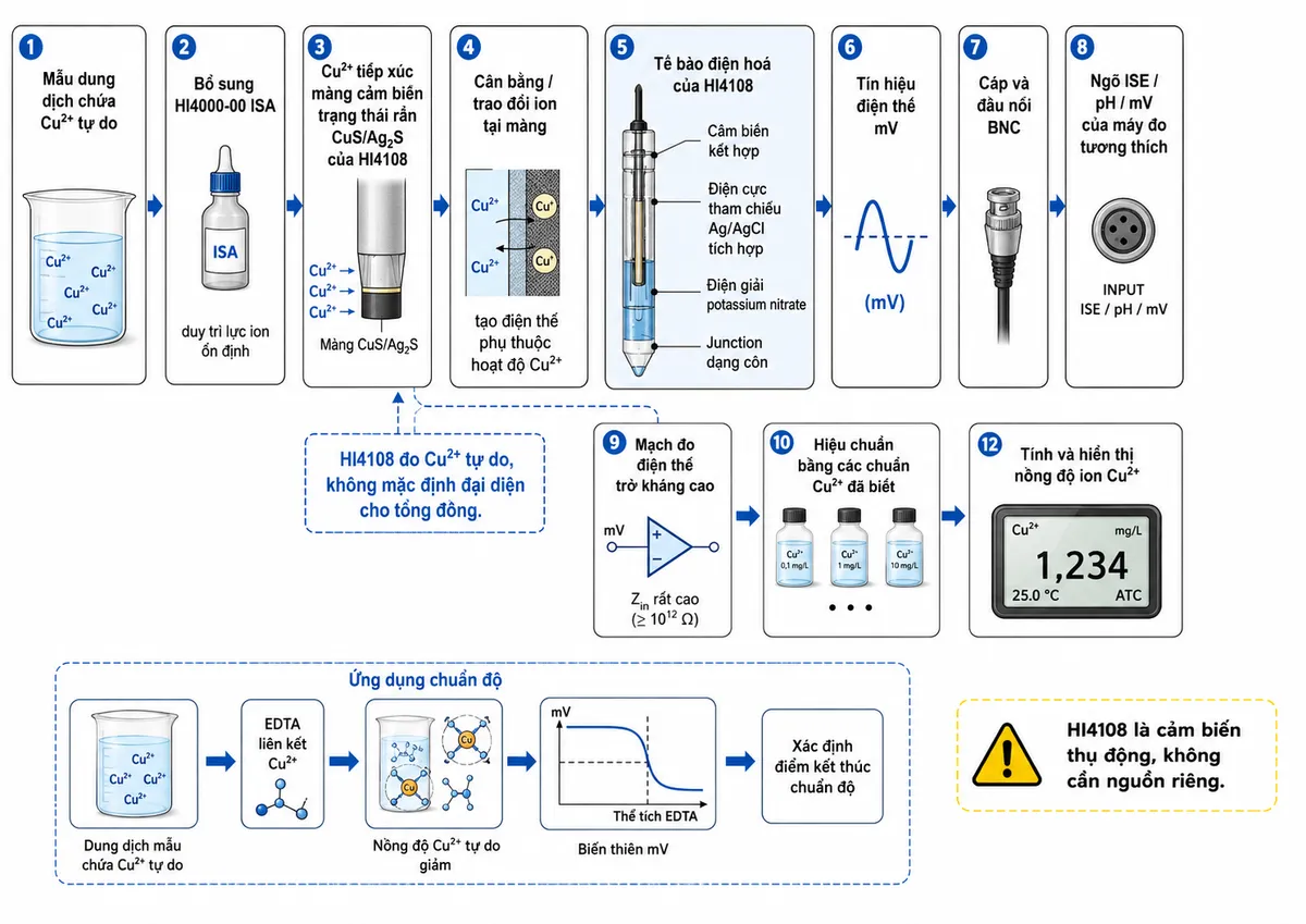 Vẽ sơ đồ nguyên lý hoạt động dạng block diagram kỹ thuật của Hanna HI4108 trên nền trắng, bố cục ngang: mẫu dung dịch chứa Cu²⁺ tự do → bổ sung HI4000-00 ISA để duy trì lực ion ổn định → Cu²⁺ tiếp xúc màng cảm biến trạng thái rắn hỗn hợp CuS/Ag₂S của HI4108 → cân bằng/trao đổi ion tại màng tạo điện thế phụ thuộc hoạt độ Cu²⁺ → cảm biến kết hợp với hệ tham chiếu Ag/AgCl tích hợp, điện giải potassium nitrate và junction dạng côn tạo tế bào điện hóa → tín hiệu điện thế mV → cáp và đầu nối BNC → ngõ ISE/pH/mV của máy đo tương thích → mạch đo điện thế trở kháng cao → hiệu chuẩn bằng các chuẩn Cu²⁺ đã biết → CPU áp dụng quan hệ Nernst/đường chuẩn → tính và hiển thị nồng độ ion Cu²⁺. Thêm nhánh ghi chú “HI4108 đo Cu²⁺ tự do, không mặc định đại diện cho tổng đồng”; thêm nhánh ứng dụng chuẩn độ: EDTA liên kết Cu²⁺ → nồng độ Cu²⁺ tự do giảm → biến thiên mV → xác định điểm kết thúc chuẩn độ. Ghi rõ HI4108 là cảm biến thụ động, không cần nguồn riêng.