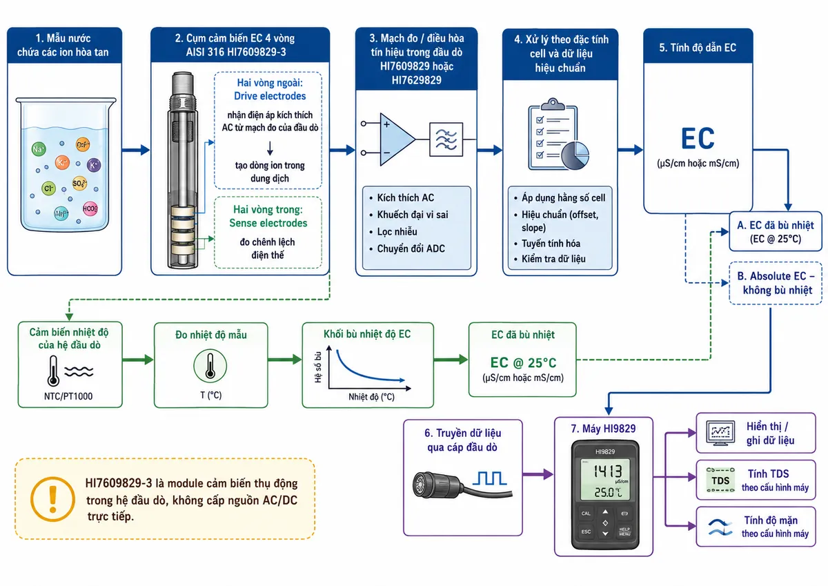 Sơ đồ nguyên lý hoạt động dạng block diagram kỹ thuật của Hanna HI7609829-3 trên nền trắng, bố cục ngang: “Mẫu nước chứa các ion hòa tan” → “Cụm cảm biến EC 4 vòng AISI 316 HI7609829-3”; tách thành hai vòng ngoài “Drive electrodes – nhận điện áp kích thích AC từ mạch đo của đầu dò” → tạo dòng ion trong dung dịch, và hai vòng trong “Sense electrodes – đo chênh lệch điện thế” → mạch đo/điều hòa tín hiệu trong đầu dò HI7609829 hoặc HI7629829 → xử lý theo đặc tính cell và dữ liệu hiệu chuẩn → tính độ dẫn EC. Tạo nhánh song song từ cảm biến nhiệt độ của hệ đầu dò → đo nhiệt độ mẫu → khối bù nhiệt độ EC → EC đã bù nhiệt; đồng thời thể hiện tùy chọn “Absolute EC – không bù nhiệt”. Sau đó dữ liệu → truyền qua cáp đầu dò → máy HI9829 → hiển thị/ghi dữ liệu; từ EC tạo các nhánh tính TDS và độ mặn theo cấu hình máy. Ghi chú “HI7609829-3 là module cảm biến thụ động trong hệ đầu dò, không cấp nguồn AC/DC trực tiếp”.