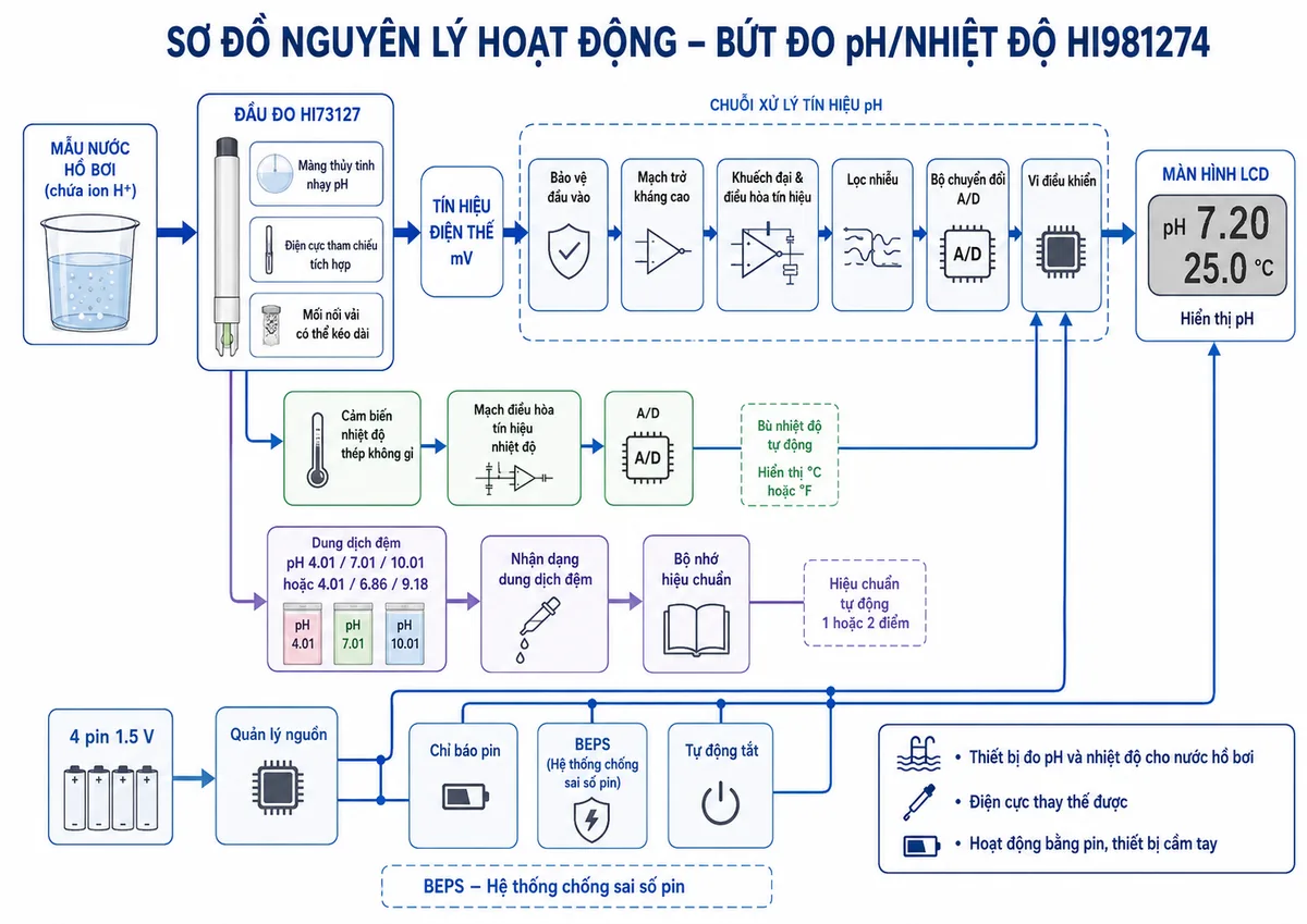 Sơ đồ nguyên lý hoạt động dạng khối của Bút Đo pH/Nhiệt Độ Hanna HI981274, nền trắng, bố cục ngang, phong cách kỹ thuật đo lường và nhãn tiếng Việt; luồng chính bắt đầu từ mẫu nước hồ bơi chứa ion H+, đi tới màng thủy tinh nhạy pH và điện cực tham chiếu tích hợp trong đầu đo HI73127 qua mối nối vải có thể kéo dài; tín hiệu điện thế mV đi qua bảo vệ đầu vào, mạch trở kháng cao, khuếch đại và điều hòa tín hiệu, lọc nhiễu, bộ chuyển đổi A/D, vi điều khiển rồi tới màn hình LCD hiển thị pH; vẽ nhánh riêng từ cảm biến nhiệt độ thép không gỉ qua mạch điều hòa và A/D tới vi điều khiển để bù nhiệt độ tự động và hiển thị °C hoặc °F; bổ sung nhánh hiệu chuẩn từ dung dịch đệm pH 4.01, 7.01, 10.01 hoặc 4.01, 6.86, 9.18 tới khối nhận dạng đệm và bộ nhớ hiệu chuẩn; thể hiện nhánh nguồn gồm 4 pin 1.5 V, quản lý nguồn, chỉ báo pin, BEPS và tự động tắt