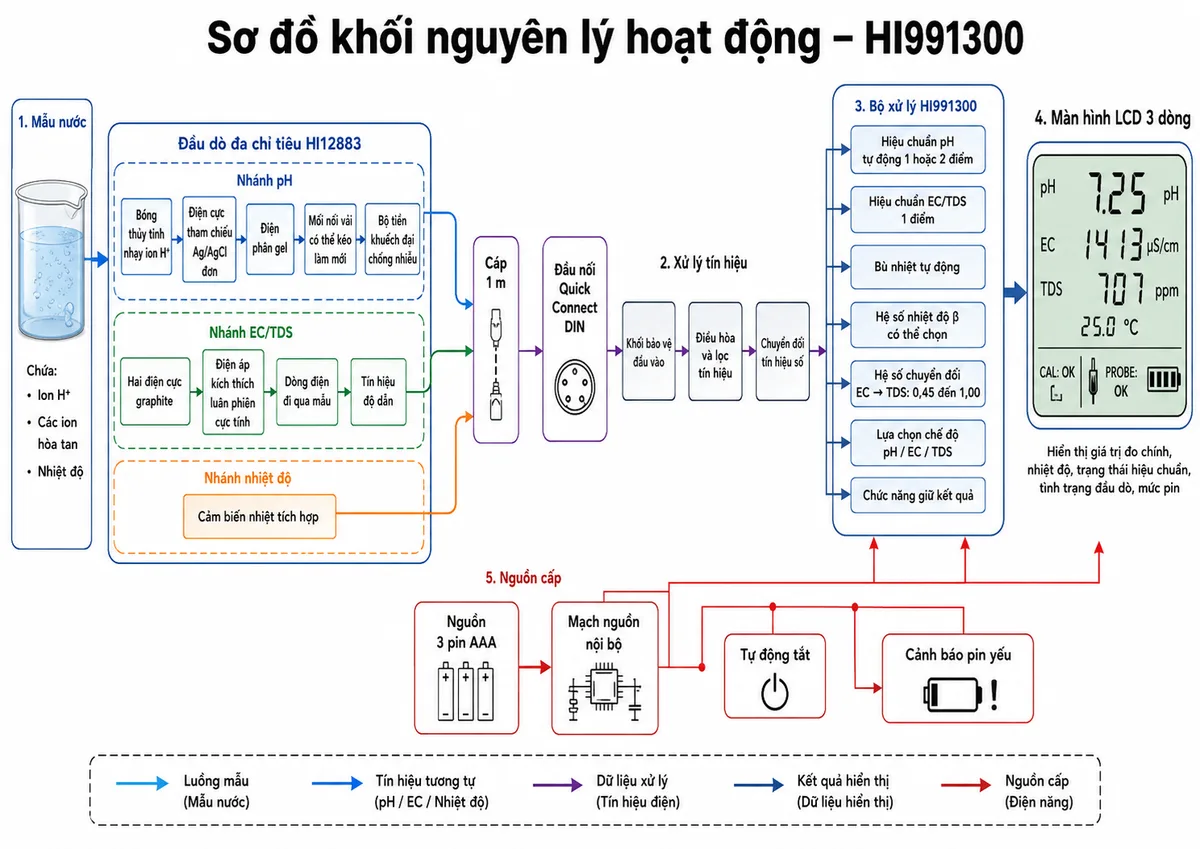 Vẽ sơ đồ khối nguyên lý hoạt động của Hanna HI991300 trên nền trắng, bố cục ngang. Luồng bắt đầu từ mẫu nước chứa ion H+, các ion hòa tan và nhiệt độ. Trong đầu dò HI12883 chia thành ba nhánh: nhánh pH gồm bóng thủy tinh nhạy ion H+, điện cực tham chiếu Ag/AgCl đơn, điện phân gel, mối nối vải có thể kéo làm mới và bộ tiền khuếch đại chống nhiễu; nhánh EC/TDS gồm hai điện cực graphite, điện áp kích thích luân phiên cực tính, dòng điện đi qua mẫu và tín hiệu độ dẫn; nhánh nhiệt độ gồm cảm biến nhiệt tích hợp. Các tín hiệu truyền qua cáp 1 m và đầu nối Quick Connect DIN đến khối bảo vệ đầu vào, điều hòa và lọc tín hiệu, chuyển đổi tín hiệu số rồi vào bộ xử lý HI991300. Trong bộ xử lý thể hiện các khối hiệu chuẩn pH tự động một hoặc hai điểm, hiệu chuẩn EC/TDS một điểm, bù nhiệt tự động, hệ số nhiệt độ beta có thể chọn, hệ số chuyển đổi EC sang TDS từ 0,45 đến 1,00, lựa chọn chế độ pH/EC/TDS và chức năng giữ kết quả. Đầu ra là màn hình LCD ba dòng hiển thị giá trị đo chính, nhiệt độ, trạng thái hiệu chuẩn, tình trạng đầu dò và mức pin. Thêm khối nguồn 3 pin AAA, tự động tắt và cảnh báo pin yếu. Dùng mũi tên rõ ràng để thể hiện luồng mẫu, tín hiệu tương tự, dữ liệu xử lý và kết quả hiển thị.