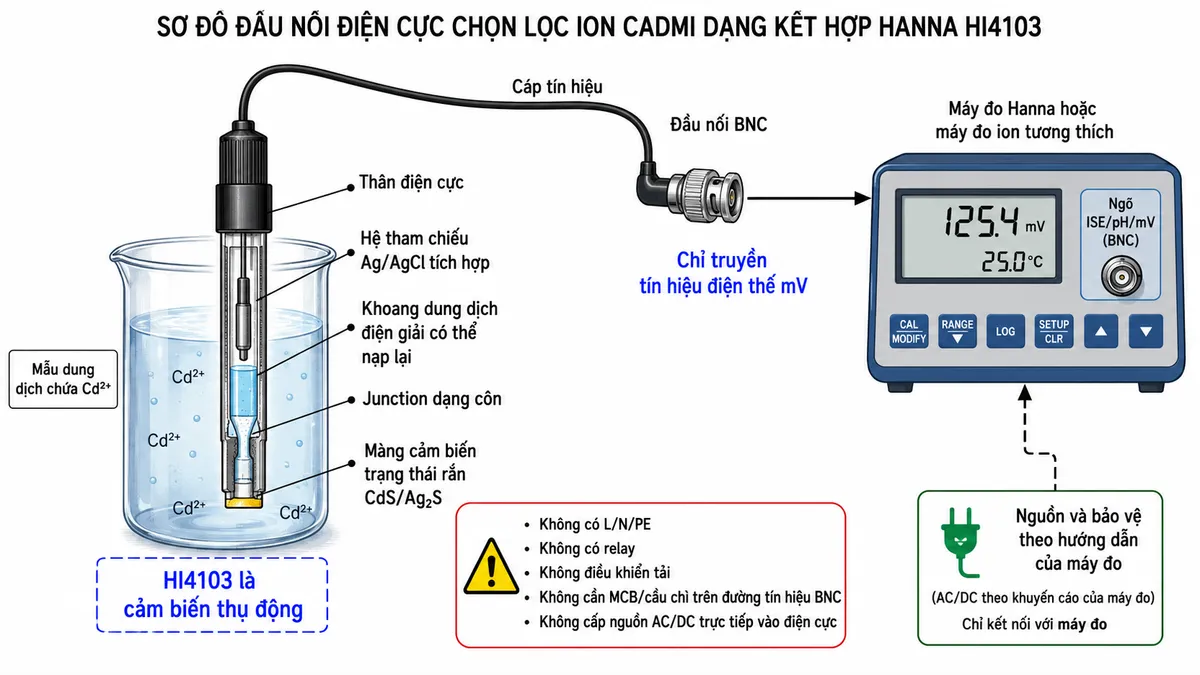 Vẽ sơ đồ đấu dây/kết nối kỹ thuật của điện cực chọn lọc ion cadmi dạng kết hợp Hanna HI4103 trên nền trắng, bố cục ngang. Bên trái là cốc mẫu chứa ion Cd²⁺ với đầu HI4103 nhúng trong dung dịch; thể hiện bên trong điện cực gồm màng cảm biến trạng thái rắn CdS/Ag₂S, hệ tham chiếu Ag/AgCl tích hợp, khoang dung dịch điện giải có thể nạp lại, junction dạng côn và thân điện cực. Từ HI4103 đi ra cáp tín hiệu tới đầu nối BNC, sau đó nối trực tiếp vào ngõ ISE/pH/mV BNC của máy đo Hanna hoặc máy đo ion tương thích. Ghi rõ đường này chỉ truyền tín hiệu điện thế mV và HI4103 là cảm biến thụ động. Không vẽ nguồn AC/DC cấp vào điện cực; ghi chú rõ HI4103 không có L/N/PE, không có relay, không điều khiển tải và không cần MCB/cầu chì trên đường tín hiệu BNC. Nếu minh họa nguồn cho máy đo, đặt thành khối riêng ghi “Nguồn và bảo vệ theo hướng dẫn của máy đo”, tuyệt đối không nối nguồn này vào HI4103.