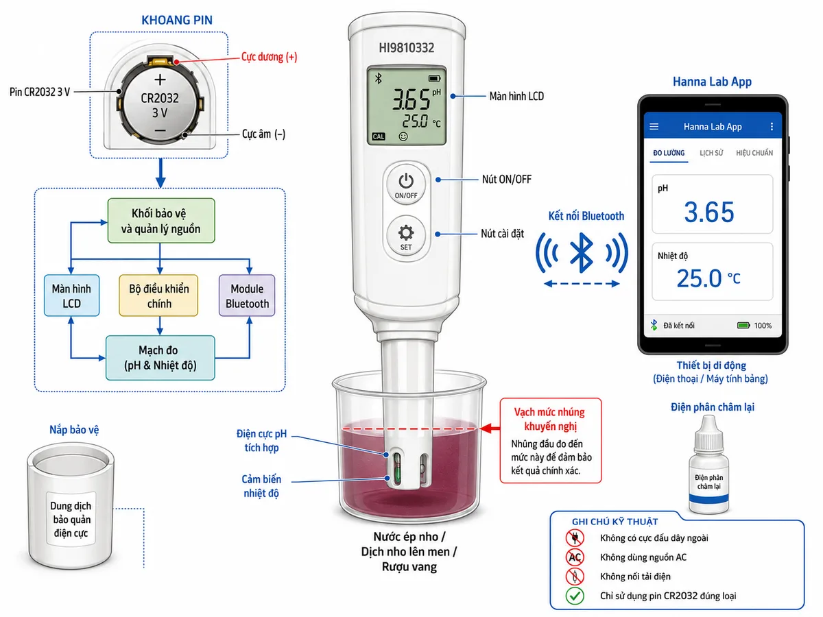 Sơ đồ kết nối sử dụng Bút đo pH/nhiệt độ HALO2 Bluetooth trong Rượu Hanna HI9810332, nền trắng và bố cục ngang; thể hiện pin CR2032 3 V với cực dương và cực âm tiếp xúc đúng khoang pin, khối bảo vệ và quản lý nguồn bên trong thân bút, nút ON/OFF, nút cài đặt, màn hình LCD, điện cực pH tích hợp và cảm biến nhiệt độ nhúng đến mức khuyến nghị trong cốc chứa nước ép nho, dịch nho lên men hoặc rượu vang; vẽ kết nối Bluetooth hai chiều tới điện thoại hoặc máy tính bảng chạy Hanna Lab App; bổ sung nắp bảo vệ có dung dịch bảo quản và chai điện phân châm lại; ghi chú rõ thiết bị không có cực đấu dây ngoài, không dùng nguồn AC, không nối tải điện và chỉ sử dụng pin CR2032 đúng loại.