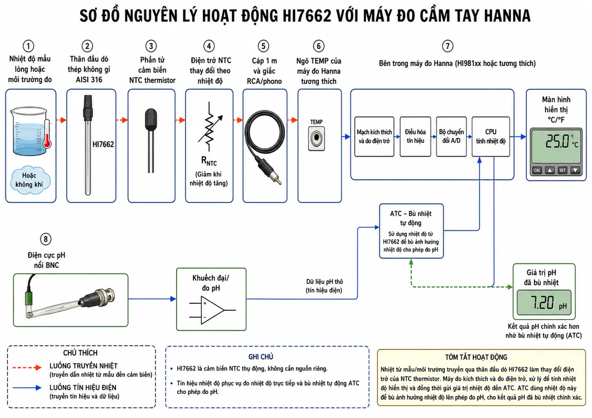 Vẽ sơ đồ nguyên lý hoạt động dạng block diagram kỹ thuật trên nền trắng cho Hanna HI7662: nhiệt độ mẫu lỏng hoặc môi trường đo → truyền nhiệt vào thân đầu dò thép không gỉ AISI 316 → phần tử NTC thermistor → điện trở NTC thay đổi theo nhiệt độ → tín hiệu điện trở truyền qua cáp 1 m và giắc RCA/phono → ngõ TEMP của máy đo Hanna tương thích → mạch kích thích và đo điện trở → điều hòa tín hiệu → bộ chuyển đổi A/D → CPU tính nhiệt độ → màn hình hiển thị °C/°F. Từ CPU tạo thêm nhánh dữ liệu nhiệt độ đến khối ATC; điện cực pH nối BNC tạo nhánh tín hiệu pH riêng → khuếch đại/đo pH → CPU; CPU sử dụng nhiệt độ từ HI7662 để bù ảnh hưởng nhiệt độ cho phép đo pH. Dùng hai kiểu mũi tên khác nhau để phân biệt luồng truyền nhiệt và luồng tín hiệu điện; ghi chú HI7662 là cảm biến NTC thụ động, không cần nguồn riêng.