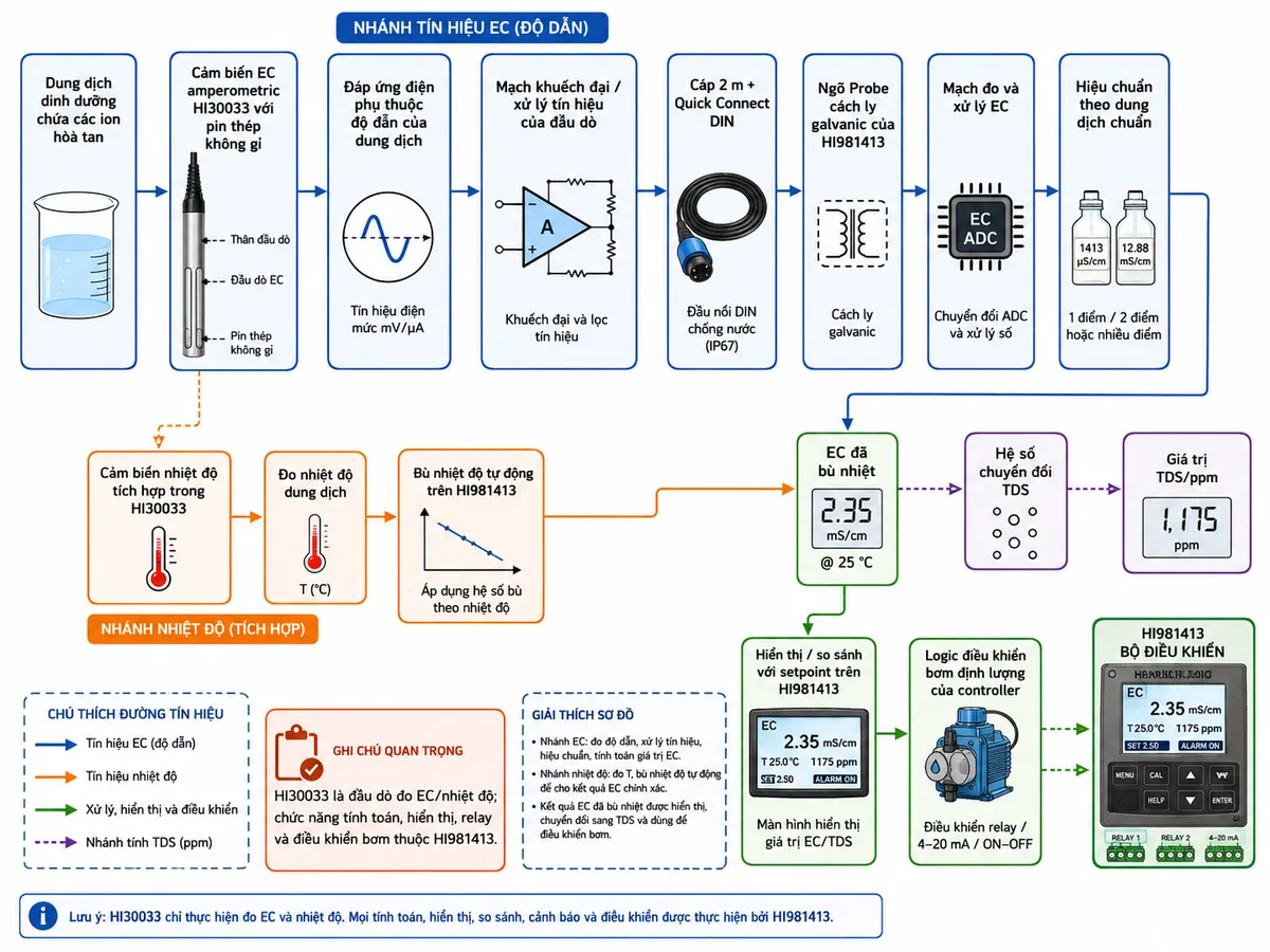 Sơ đồ nguyên lý hoạt động dạng block diagram kỹ thuật của Hanna HI30033 trên nền trắng, bố cục ngang. Bắt đầu từ “Dung dịch dinh dưỡng chứa các ion hòa tan” → “Cảm biến EC amperometric HI30033 với pin thép không gỉ” → “Đáp ứng điện phụ thuộc độ dẫn của dung dịch” → “Mạch khuếch đại/xử lý tín hiệu của đầu dò” → “Cáp 2 m + Quick Connect DIN” → “Ngõ Probe cách ly galvanic của HI981413” → “Mạch đo và xử lý EC” → “Hiệu chuẩn theo dung dịch chuẩn” → “Giá trị EC”. Tạo nhánh song song từ “Cảm biến nhiệt độ tích hợp trong HI30033” → “Đo nhiệt độ dung dịch” → “Bù nhiệt độ tự động trên HI981413” → hợp nhất với nhánh EC thành “EC đã bù nhiệt”. Từ EC tạo nhánh “Hệ số chuyển đổi TDS” → “Giá trị TDS/ppm”. Sau đó → “Hiển thị/so sánh với setpoint trên HI981413” → “logic điều khiển bơm định lượng của controller”. Ghi chú rõ HI30033 là đầu dò đo EC/nhiệt độ; chức năng tính toán, hiển thị, relay và điều khiển bơm thuộc HI981413.