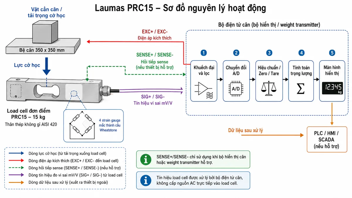 Vẽ sơ đồ nguyên lý hoạt động dạng khối cho Laumas PRC15 trên nền trắng, bố cục ngang. Bắt đầu từ vật cần cân/tải trọng cơ học tác động xuống bệ cân 350 x 350 mm; lực truyền tới load cell single-point PRC15 tải danh định 15 kg. Bên trong load cell thể hiện phần tử đàn hồi bằng thép không gỉ AISI 420 và bốn strain gauge mắc thành cầu Wheatstone. Từ bộ hiển thị cân hoặc weight transmitter vẽ nhánh EXC+/EXC- cấp điện áp kích thích vào cầu đo và nhánh SENSE+/SENSE- hồi tiếp điện áp kích thích nếu thiết bị hỗ trợ. Khi tải tác động, phần tử đàn hồi biến dạng làm điện trở strain gauge thay đổi và sinh tín hiệu vi sai SIG+/SIG- dạng mV/V. Tín hiệu đi qua khối khuếch đại và lọc, chuyển đổi A/D, hiệu chuẩn/Zero/Tare, tính toán trọng lượng rồi tới màn hình hiển thị. Nếu bộ điện tử cân hỗ trợ thì vẽ thêm nhánh dữ liệu đã xử lý tới PLC/HMI/SCADA. Phân biệt rõ bằng mũi tên và chú thích tiếng Việt cho luồng lực cơ học, điện áp kích thích, hồi tiếp sense, tín hiệu đo và dữ liệu đã xử lý.