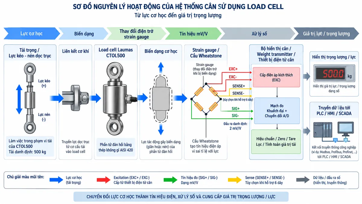 Vẽ sơ đồ nguyên lý hoạt động dạng khối cho Laumas CTOL500 trên nền trắng, bố cục ngang. Bắt đầu từ khối tải trọng/lực kéo hoặc lực nén dọc trục tối đa theo phạm vi làm việc của CTOL500; lực truyền qua liên kết cơ khí vào phần tử đàn hồi thép không gỉ AISI 420. Tiếp theo thể hiện khối biến dạng cơ học và các strain gauge tạo thành cầu Wheatstone; bộ hiển thị cân/weight transmitter cấp điện áp EXC+/EXC- cho cầu đo, đường SENSE+/SENSE- phản hồi điện áp kích thích khi sử dụng cấu hình 6 dây. Cầu Wheatstone tạo tín hiệu vi sai SIG+/SIG- dạng mV/V, đầu ra danh định 2 mV/V, đưa tới khối khuếch đại và chuyển đổi A/D trong thiết bị điện tử cân; tiếp theo là khối hiệu chuẩn, zero/tare, lọc và tính toán giá trị tải; cuối cùng là hiển thị trọng lượng/lực hoặc truyền dữ liệu tới PLC/HMI/SCADA tùy thiết bị xử lý sử dụng. Dùng mũi tên rõ ràng cho luồng: lực cơ học → biến dạng → thay đổi điện trở strain gauge → tín hiệu mV/V → xử lý số → giá trị lực/trọng lượng.