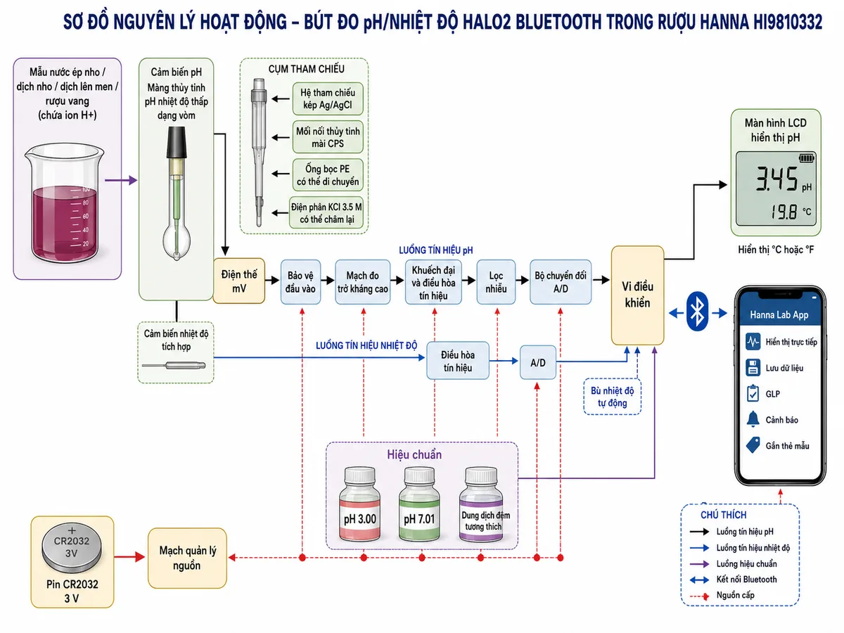 Sơ đồ nguyên lý hoạt động dạng khối của Bút đo pH/nhiệt độ HALO2 Bluetooth trong Rượu Hanna HI9810332, nền trắng, bố cục ngang và nhãn tiếng Việt; luồng chính bắt đầu từ mẫu nước ép nho, dịch nho, dịch lên men hoặc rượu vang chứa ion H+ đi tới màng thủy tinh pH nhiệt độ thấp dạng vòm; tín hiệu được so sánh với hệ tham chiếu kép Ag/AgCl qua mối nối thủy tinh mài CPS, ống bọc PE có thể di chuyển và điện phân KCl 3.5 M có thể châm lại để tạo điện thế mV; điện thế tiếp tục qua bảo vệ đầu vào, mạch đo trở kháng cao, khuếch đại và điều hòa tín hiệu, lọc nhiễu, bộ chuyển đổi A/D, vi điều khiển rồi tới màn hình LCD hiển thị pH; vẽ nhánh từ cảm biến nhiệt độ tích hợp qua điều hòa tín hiệu và A/D tới vi điều khiển để bù nhiệt độ tự động và hiển thị °C hoặc °F; vẽ nhánh Bluetooth từ vi điều khiển tới điện thoại chạy Hanna Lab App để hiển thị trực tiếp, lưu dữ liệu, GLP, cảnh báo và gắn thẻ mẫu; bổ sung nhánh hiệu chuẩn từ dung dịch đệm pH 3.00, pH 7.01 và các dung dịch đệm tương thích tới vi điều khiển, cùng nhánh nguồn từ pin CR2032 qua mạch quản lý nguồn tới các khối điện tử.