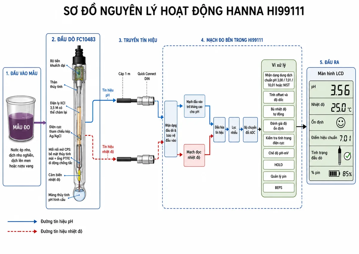 Vẽ sơ đồ nguyên lý hoạt động dạng khối của Hanna HI99111 trên nền trắng, bố cục ngang và nhãn tiếng Việt. Luồng bắt đầu từ mẫu nước ép nho, dịch nho nghiền, dịch đang lên men hoặc rượu vang đi vào đầu dò FC10483. Bên trong đầu dò thể hiện màng thủy tinh pH hình cầu, điện cực tham chiếu kép Ag/AgCl, điện ly KCl 3,5 M có thể châm lại, mối nối mở CPS gồm bề mặt thủy tinh mài và ống PTFE di động chống tắc, cảm biến nhiệt độ, thân thủy tinh và bộ tiền khuếch đại. Tách thành hai đường tín hiệu pH và nhiệt độ, truyền qua cáp 1 m cùng đầu Quick Connect DIN tới khối nhận dạng đầu dò và bảo vệ đầu vào của HI99111. Tiếp theo là mạch đầu vào trở kháng cao cho pH, mạch đọc nhiệt độ, điều hòa tín hiệu, lọc nhiễu và bộ chuyển đổi ADC. Sau ADC là vi xử lý với các khối nhận dạng dung dịch chuẩn pH 3,00, 7,01, 10,01 hoặc NIST, tính offset và độ dốc, bù nhiệt độ tự động, đánh giá độ ổn định, kiểm tra tình trạng điện cực, chế độ pH-mV, HOLD, quản lý pin và BEPS. Đầu ra cuối là màn hình LCD hiển thị pH, nhiệt độ, trạng thái ổn định, điểm hiệu chuẩn, tình trạng đầu dò và phần trăm pin.