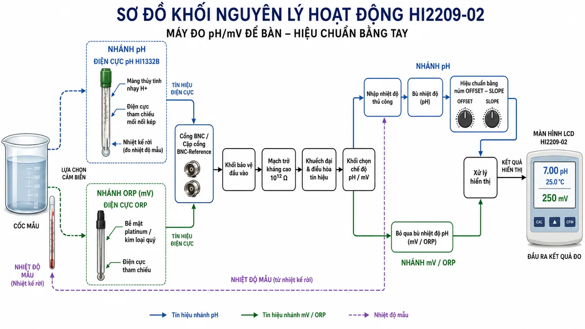 Vẽ sơ đồ khối nguyên lý hoạt động của máy đo pH/mV Hanna HI2209-02 trên nền trắng, bố cục ngang. Bên trái là cốc mẫu với hai nhánh lựa chọn: nhánh pH gồm màng thủy tinh nhạy H+, điện cực tham chiếu mối nối kép của HI1332B và nhiệt kế rời; nhánh ORP gồm bề mặt platinum hoặc kim loại quý và điện cực tham chiếu. Tín hiệu điện cực đi qua cổng BNC hoặc cặp cổng BNC-Reference vào khối bảo vệ đầu vào, mạch trở kháng cao 10¹² ohm, khuếch đại và điều hòa tín hiệu, sau đó qua khối chọn chế độ pH hoặc mV. Nhánh pH đi qua khối nhập nhiệt độ thủ công, bù nhiệt độ và hiệu chuẩn bằng núm OFFSET-SLOPE; nhánh mV hoặc ORP bỏ qua bù nhiệt độ pH. Cuối sơ đồ là khối xử lý hiển thị và màn hình LCD, với mũi tên thể hiện luồng tín hiệu từ mẫu đến kết quả.