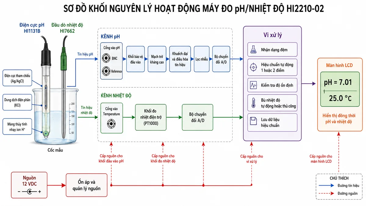 Vẽ sơ đồ khối nguyên lý hoạt động của máy đo pH/nhiệt độ Hanna HI2210-02 trên nền trắng, bố cục ngang. Bên trái là cốc mẫu với điện cực pH HI1131B, thể hiện màng thủy tinh nhạy ion H+, điện cực tham chiếu và dung dịch điện phân; bên cạnh là đầu dò nhiệt độ HI7662. Tín hiệu pH đi qua cổng BNC hoặc cặp cổng BNC-Reference vào khối bảo vệ đầu vào, mạch trở kháng cao, khuếch đại và điều hòa tín hiệu, lọc nhiễu rồi bộ chuyển đổi A/D. Tín hiệu nhiệt độ đi qua cổng Temperature vào khối đo nhiệt điện trở và chuyển đổi A/D. Hai luồng dữ liệu đi đến vi xử lý, trong đó thể hiện các chức năng nhận dạng đệm, hiệu chuẩn tự động 1 hoặc 2 điểm, kiểm tra độ ổn định, bù nhiệt độ tự động hoặc thủ công và lưu dữ liệu hiệu chuẩn. Đầu ra cuối cùng là màn hình LCD hiển thị đồng thời pH và nhiệt độ. Thêm nhánh nguồn 12 VDC qua khối ổn áp và quản lý nguồn cấp cho các mạch bên trong.