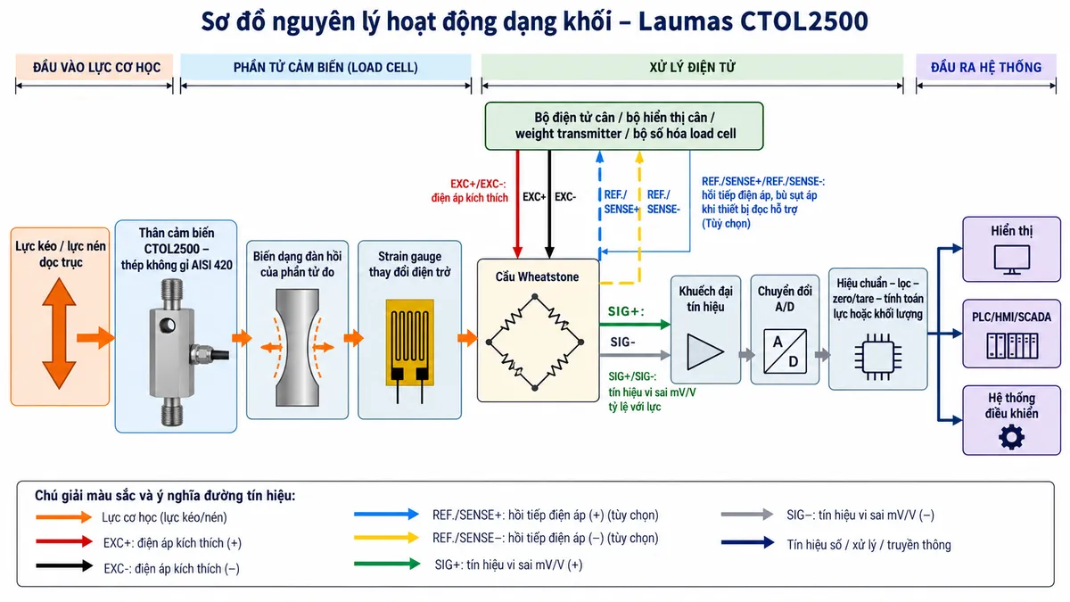 Vẽ sơ đồ nguyên lý hoạt động dạng khối cho Laumas CTOL2500 trên nền trắng, bố cục ngang. Bắt đầu từ khối “Lực kéo / lực nén dọc trục” tác động lên “Thân cảm biến CTOL2500 – thép không gỉ AISI 420”; tiếp theo là “Biến dạng đàn hồi của phần tử đo”; “Strain gauge thay đổi điện trở”; “Cầu Wheatstone”. Thể hiện EXC+/EXC- từ bộ điện tử cân cấp điện áp kích thích vào cầu Wheatstone; SIG+/SIG- là tín hiệu vi sai mV/V đầu ra tỷ lệ với lực; REF./SENSE+/REF./SENSE- là đường hồi tiếp điện áp giúp bù sụt áp khi thiết bị đọc hỗ trợ. Tín hiệu tiếp tục qua các khối “Khuếch đại tín hiệu”, “Chuyển đổi A/D”, “Hiệu chuẩn – lọc – zero/tare – tính toán lực hoặc khối lượng”. Cuối cùng chia nhánh tới “Hiển thị”, “PLC/HMI/SCADA” và “Hệ thống điều khiển”. Dùng mũi tên và màu sắc tách biệt rõ luồng lực cơ học, nguồn excitation, đường sense và luồng tín hiệu điện.