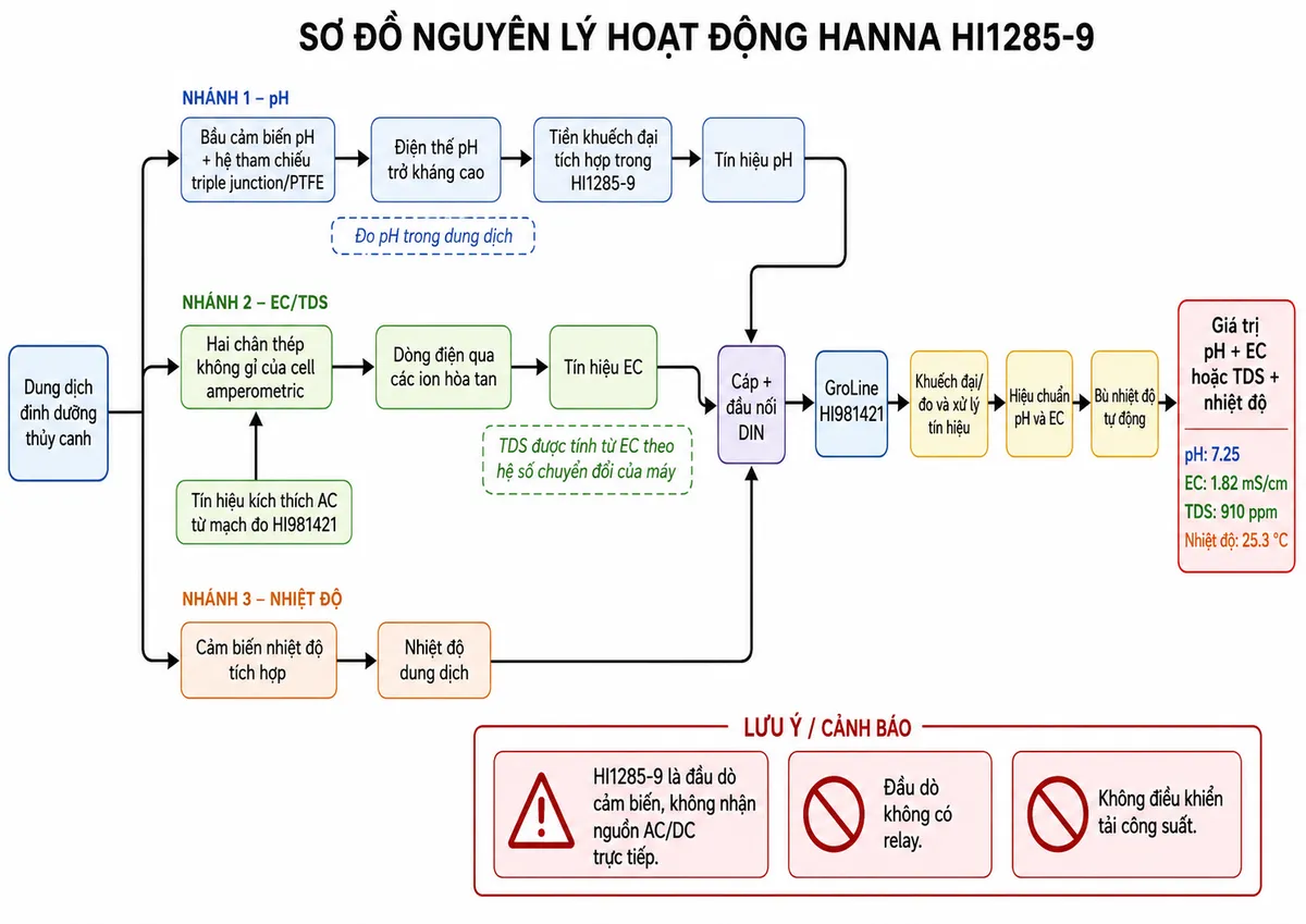 Vẽ sơ đồ nguyên lý hoạt động dạng block diagram kỹ thuật cho Hanna HI1285-9 trên nền trắng, bố cục ngang. Bắt đầu từ “Dung dịch dinh dưỡng thủy canh” rồi chia thành ba nhánh. Nhánh pH: “Bầu cảm biến pH + hệ tham chiếu triple junction/PTFE” → “Điện thế pH trở kháng cao” → “Tiền khuếch đại tích hợp trong HI1285-9” → “Tín hiệu pH”. Nhánh EC/TDS: “Hai chân thép không gỉ của cell amperometric” ← “Tín hiệu kích thích AC từ mạch đo HI981421”, sau đó “Dòng điện qua các ion hòa tan” → “Tín hiệu EC”. Nhánh nhiệt độ: “Cảm biến nhiệt độ tích hợp” → “Nhiệt độ dung dịch”. Hợp nhất ba nhánh → “Cáp + đầu nối DIN” → “GroLine HI981421” → “Khuếch đại/đo và xử lý tín hiệu” → “Hiệu chuẩn pH và EC” → “Bù nhiệt độ tự động” → “Giá trị pH + EC hoặc TDS + nhiệt độ”. Thể hiện thêm rằng TDS được tính từ EC theo hệ số chuyển đổi của máy; đầu dò HI1285-9 không nhận nguồn AC/DC trực tiếp và không điều khiển tải công suất.