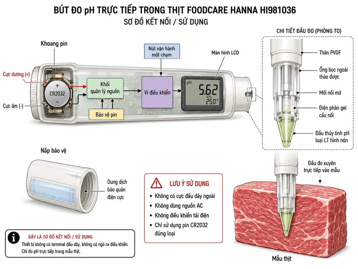Vẽ sơ đồ kết nối sử dụng Bút Đo pH Trực Tiếp Trong Thịt Foodcare Hanna HI981036, nền trắng, bố cục ngang và nhãn tiếng Việt. Thể hiện pin CR2032 với cực dương và cực âm tiếp xúc khoang pin, khối quản lý nguồn và bảo vệ pin bên trong thân bút, nút vận hành một chạm, vi điều khiển và màn hình LCD. Phần đầu đo tích hợp gồm thân PVDF, ống bọc ngoài tháo được, mối nối mở, điện phân gel cầu nối và đầu thủy tinh pH loại LT hình nón được cắm trực tiếp vào mẫu thịt. Vẽ thêm nắp bảo vệ có dung dịch bảo quản điện cực. Ghi chú rõ HI981036 không có cực đấu dây ngoài, không dùng nguồn AC, không điều khiển tải điện và chỉ sử dụng pin CR2032 đúng loại.