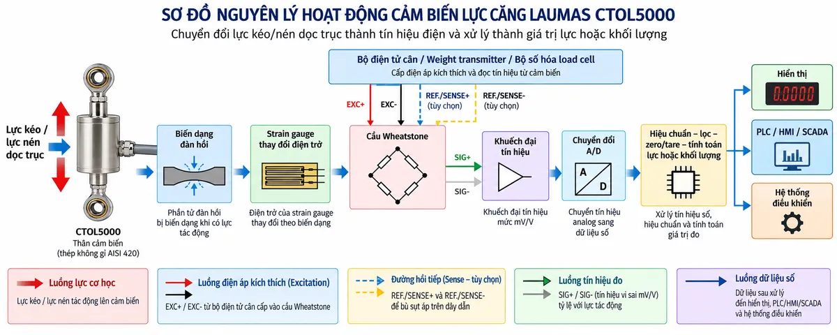 Vẽ sơ đồ nguyên lý hoạt động dạng khối cho Laumas CTOL5000 trên nền trắng, bố cục ngang. Luồng chính từ trái sang phải gồm “Lực kéo / lực nén dọc trục” → “Thân cảm biến CTOL5000 – phần tử đàn hồi” → “Biến dạng đàn hồi” → “Strain gauge thay đổi điện trở” → “Cầu Wheatstone”. Từ bộ điện tử cân phía trên vẽ EXC+/EXC- cấp điện áp kích thích vào cầu Wheatstone; REF./SENSE+/REF./SENSE- là đường hồi tiếp điện áp tùy chọn để bù sụt áp khi thiết bị đọc hỗ trợ; từ cầu Wheatstone vẽ SIG+/SIG- là tín hiệu vi sai mV/V tỷ lệ với lực. Tín hiệu tiếp tục qua “Khuếch đại tín hiệu” → “Chuyển đổi A/D” → “Hiệu chuẩn – lọc – zero/tare – tính toán lực hoặc khối lượng”, cuối cùng chia nhánh tới “Hiển thị”, “PLC/HMI/SCADA” và “Hệ thống điều khiển”. Dùng màu khác nhau cho luồng lực cơ học, excitation, sense, tín hiệu analog và tín hiệu số.