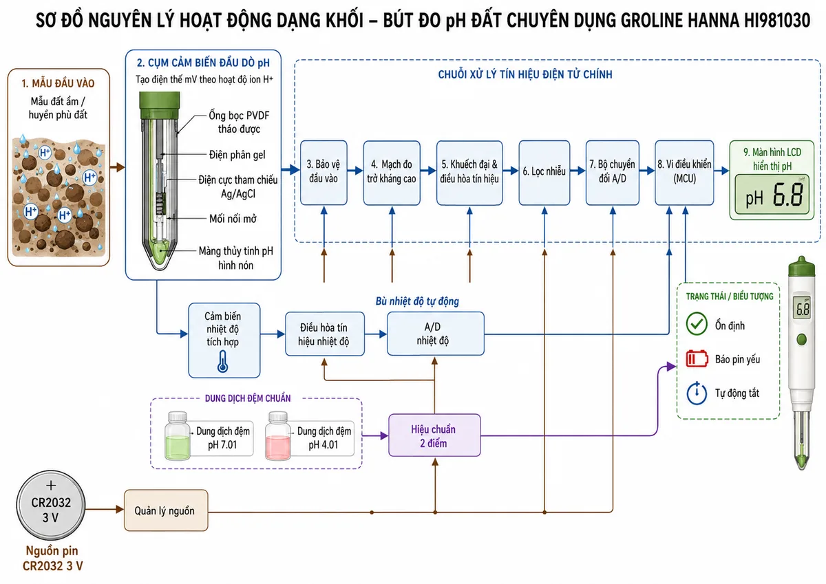 Sơ đồ nguyên lý hoạt động dạng khối của Bút đo pH đất chuyên dụng GroLine Hanna HI981030, nền trắng, bố cục ngang, phong cách kỹ thuật đo lường và nhãn tiếng Việt; luồng chính bắt đầu từ mẫu đất ẩm hoặc huyền phù đất chứa ion H+ đi tới màng thủy tinh pH hình nón, tín hiệu được so sánh với điện cực tham chiếu Ag/AgCl qua mối nối mở và điện phân gel trong ống bọc PVDF tháo được để tạo điện thế mV; điện thế đi qua bảo vệ đầu vào, mạch đo trở kháng cao, khuếch đại và điều hòa tín hiệu, lọc nhiễu, bộ chuyển đổi A/D, vi điều khiển rồi tới màn hình LCD hiển thị pH; vẽ nhánh từ cảm biến nhiệt độ tích hợp qua điều hòa tín hiệu và A/D tới vi điều khiển để bù nhiệt độ tự động; bổ sung nhánh hiệu chuẩn từ dung dịch đệm pH 7.01 và pH 4.01 tới vi điều khiển, nhánh nguồn từ pin CR2032 3 V tới các khối điện tử, cùng biểu tượng ổn định, báo pin yếu và tự động tắt.