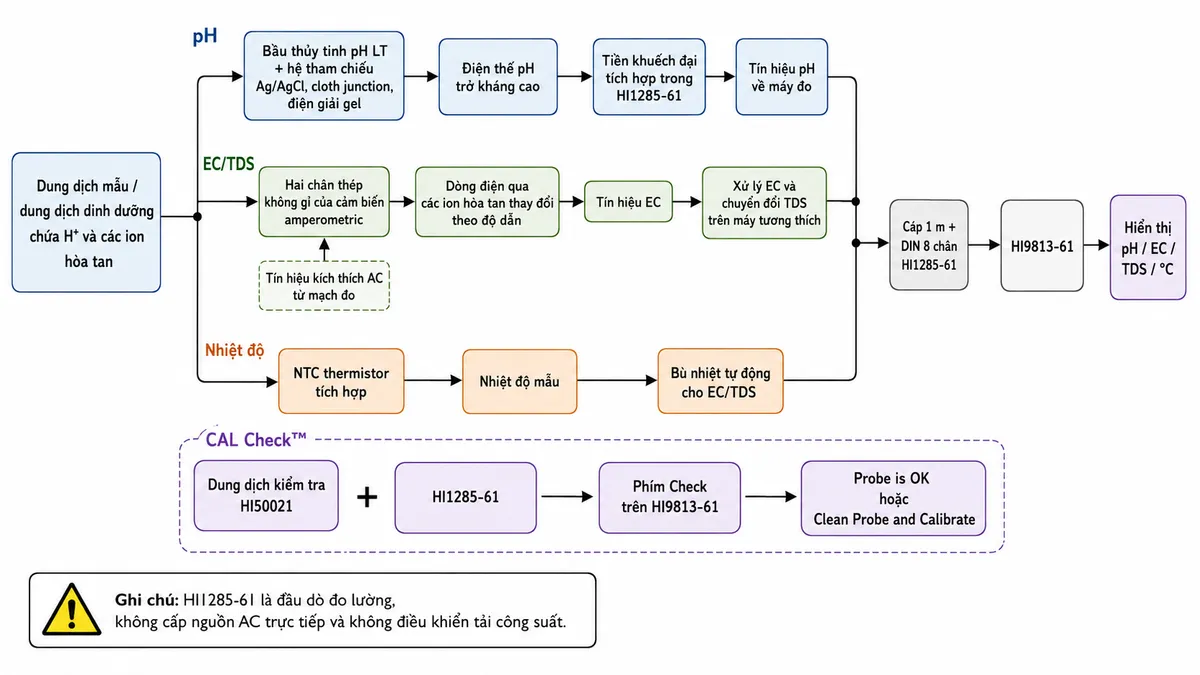 Vẽ sơ đồ nguyên lý hoạt động dạng block diagram kỹ thuật cho Hanna HI1285-61 trên nền trắng, bố cục ngang. Bắt đầu từ “Dung dịch mẫu / dung dịch dinh dưỡng chứa H⁺ và các ion hòa tan” rồi chia thành ba nhánh. Nhánh pH: “Bầu thủy tinh pH LT + hệ tham chiếu Ag/AgCl, cloth junction, điện giải gel” → “Điện thế pH trở kháng cao” → “Tiền khuếch đại tích hợp trong HI1285-61” → “Tín hiệu pH về máy đo”. Nhánh EC/TDS: “Hai chân thép không gỉ của cảm biến amperometric” nhận “Tín hiệu kích thích AC từ mạch đo” → “Dòng điện qua các ion hòa tan thay đổi theo độ dẫn” → “Tín hiệu EC” → “Xử lý EC và chuyển đổi TDS trên máy tương thích”. Nhánh nhiệt độ: “NTC thermistor tích hợp” → “Nhiệt độ mẫu” → “Bù nhiệt tự động cho EC/TDS”. Hợp nhất ba nhánh tại “Cáp 1 m + DIN 8 chân HI1285-61” → “HI9813-61” → “Hiển thị pH / EC / TDS / °C”. Tạo thêm nhánh CAL Check™: “Dung dịch kiểm tra HI50021” + “HI1285-61” → “Phím Check trên HI9813-61” → “Probe is OK hoặc Clean Probe and Calibrate”. Ghi chú HI1285-61 là đầu dò đo lường, không cấp nguồn AC trực tiếp và không điều khiển tải công suất.