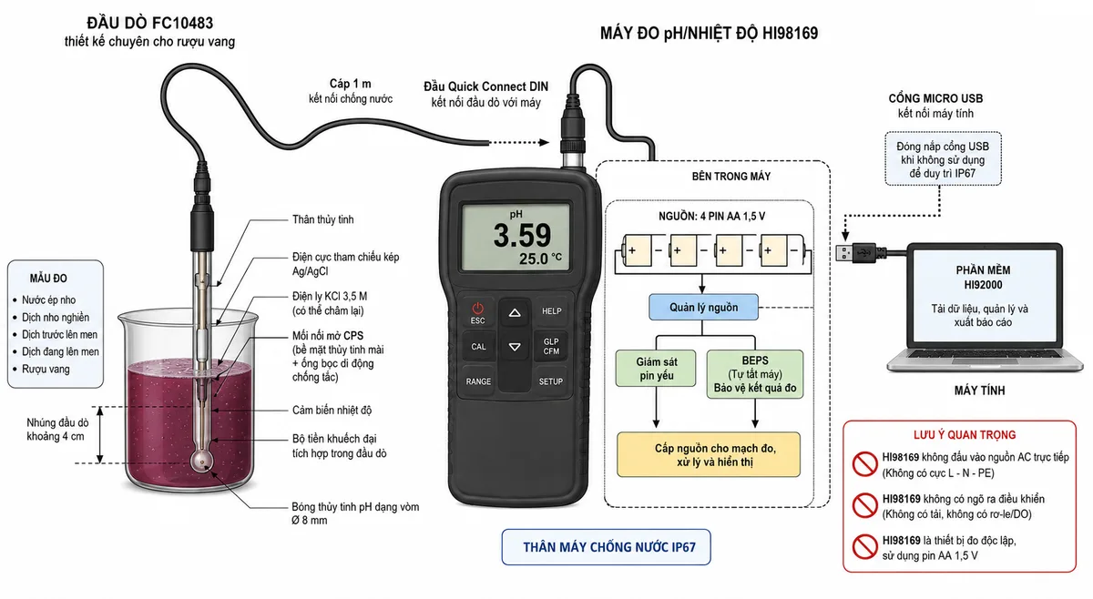 Vẽ sơ đồ kết nối Hanna HI98169 trên nền trắng, bố cục ngang và nhãn tiếng Việt. Bên trái là cốc mẫu nước ép nho, dịch nho nghiền, dịch đang lên men hoặc rượu vang; đầu dò FC10483 nhúng khoảng 4 cm vào mẫu, thể hiện bóng thủy tinh pH dạng vòm đường kính 8 mm, điện cực tham chiếu kép Ag/AgCl, điện ly KCl 3,5 M có thể châm lại, mối nối mở CPS gồm bề mặt thủy tinh mài và ống bọc di động chống tắc, cảm biến nhiệt độ và bộ tiền khuếch đại. Đầu dò nối qua cáp 1 m và đầu Quick Connect DIN vào máy HI98169. Bên trong máy thể hiện nguồn 4 pin AA 1,5 V với đúng cực dương và cực âm, khối quản lý nguồn, giám sát pin yếu và BEPS tự tắt bảo vệ kết quả đo. Bên phải thể hiện cổng micro USB nối với máy tính cài phần mềm HI92000 để tải dữ liệu; ghi rõ đóng nắp cổng USB khi không sử dụng để duy trì IP67. Chú thích rõ HI98169 không đấu L-N-PE, không dùng nguồn AC trực tiếp và không có tải hoặc ngõ ra điều khiển.