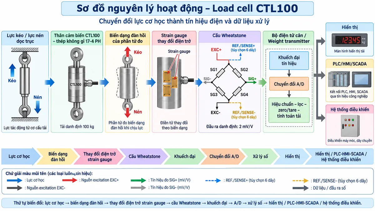 Vẽ sơ đồ nguyên lý hoạt động dạng khối cho Laumas CTOL5000 trên nền trắng, bố cục ngang: bắt đầu từ khối “Lực kéo / lực nén dọc trục” tác động lên “Thân cảm biến CTOL5000 – thép không gỉ AISI 420”; tiếp theo là “Biến dạng đàn hồi của phần tử đo” → “Strain gauge thay đổi điện trở” → “Cầu Wheatstone”. Từ bộ điện tử cân vẽ EXC+/EXC- cấp điện áp kích thích vào cầu Wheatstone; REF./SENSE+ và REF./SENSE- là đường hồi tiếp điện áp tùy chọn khi dùng cấu hình 6 dây; từ cầu Wheatstone vẽ SIG+/SIG- là tín hiệu vi sai mV/V, đầu ra danh định 2 mV/V, đi tới “Khuếch đại tín hiệu” → “Chuyển đổi A/D” → “Hiệu chuẩn – lọc – zero/tare – tính toán tải”. Cuối sơ đồ chia nhánh tới “Hiển thị”, “PLC/HMI/SCADA” và “Hệ thống điều khiển”. Dùng màu và mũi tên khác nhau để phân biệt lực cơ học, excitation, sense, tín hiệu đo và dữ liệu số.