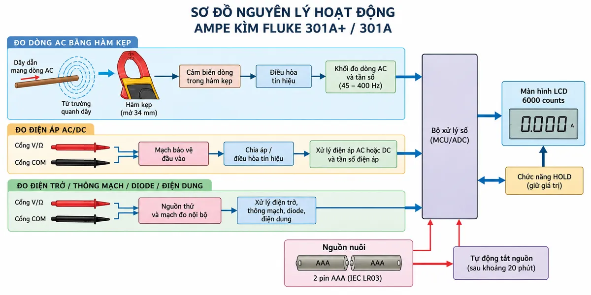 Sơ đồ nguyên lý hoạt động dạng khối của ampe kìm FLUKE 301A+ / 301A trên nền trắng, bố cục ngang, chú thích tiếng Việt. Luồng đo dòng AC: dây dẫn mang dòng AC → từ trường quanh dây → hàm kẹp mở 34 mm → cảm biến dòng trong hàm → điều hòa tín hiệu → khối đo dòng và tần số 45–400 Hz → chuyển đổi/xử lý số → màn hình LCD 6000 counts; thêm khối HOLD giữ giá trị. Luồng đo điện áp: cổng V/Ω và COM → mạch bảo vệ đầu vào → chia áp/điều hòa tín hiệu → xử lý điện áp AC hoặc DC và tần số điện áp → bộ xử lý số → màn hình. Luồng điện trở/thông mạch/diode/điện dung: cổng V/Ω-COM → nguồn thử và mạch đo nội bộ → các khối xử lý tương ứng → bộ xử lý số → màn hình. Thể hiện nguồn 2 pin AAA cấp cho mạch điện tử và chức năng tự động tắt nguồn; không thể hiện đo dòng DC qua hàm vì FLUKE 301A/301A+ chỉ đo dòng AC.