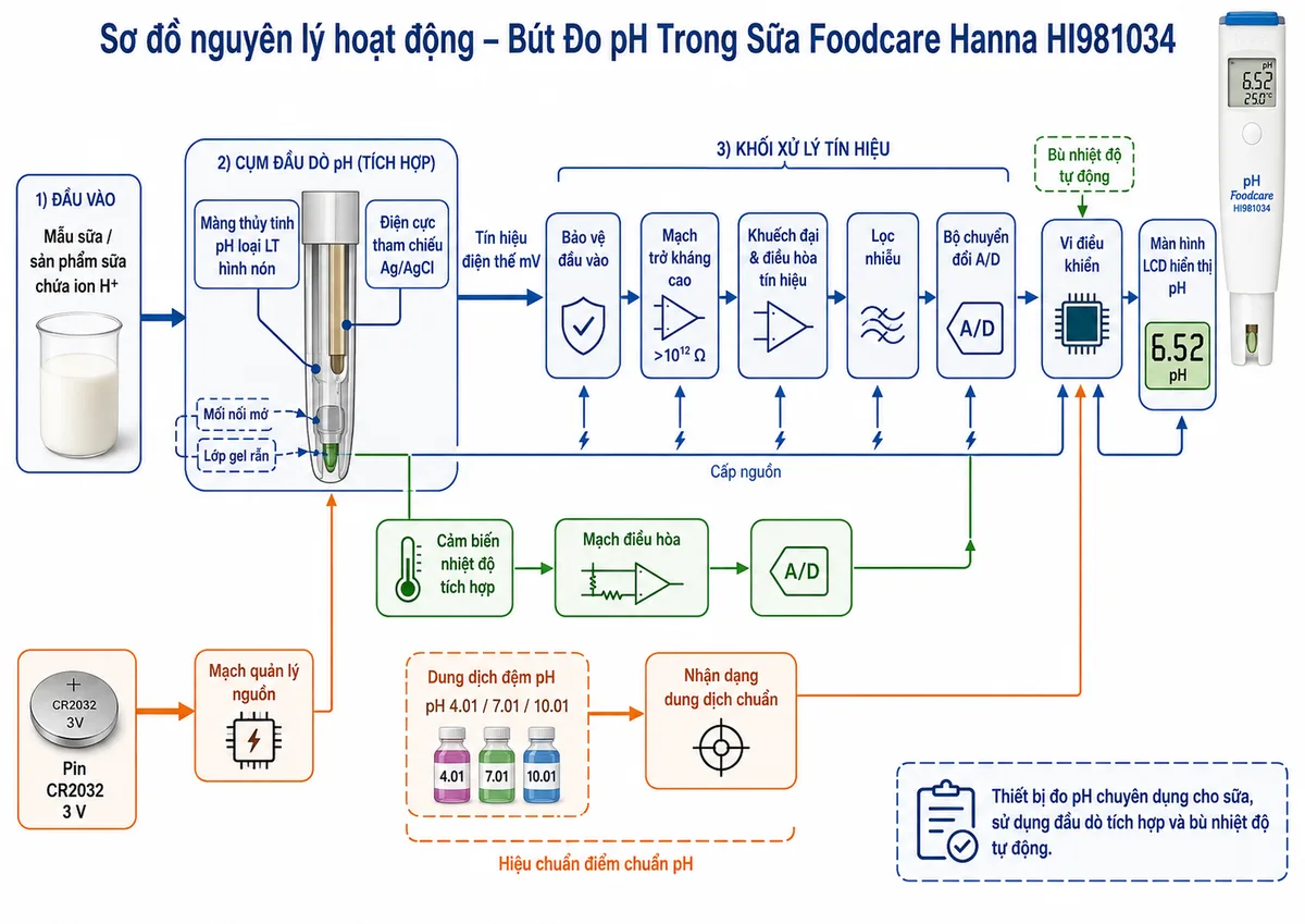 Sơ đồ nguyên lý hoạt động dạng khối của Bút Đo pH Trong Sữa Foodcare Hanna HI981034, nền trắng, bố cục ngang, phong cách kỹ thuật đo lường và nhãn tiếng Việt; luồng chính bắt đầu từ mẫu sữa hoặc sản phẩm sữa chứa ion H+, đi tới màng thủy tinh pH loại LT hình nón và hệ điện cực tham chiếu Ag/AgCl qua mối nối mở với lớp gel rắn; tín hiệu điện thế mV tiếp tục qua khối bảo vệ đầu vào, mạch trở kháng cao, khuếch đại và điều hòa tín hiệu, lọc nhiễu, bộ chuyển đổi A/D, vi điều khiển rồi tới màn hình LCD hiển thị pH; vẽ nhánh từ cảm biến nhiệt độ tích hợp qua mạch điều hòa và A/D tới vi điều khiển để bù nhiệt độ tự động; bổ sung nhánh hiệu chuẩn từ dung dịch đệm pH tới khối nhận dạng dung dịch chuẩn và vi điều khiển, cùng nhánh nguồn từ pin CR2032 tới mạch quản lý nguồn và các khối chức năng.